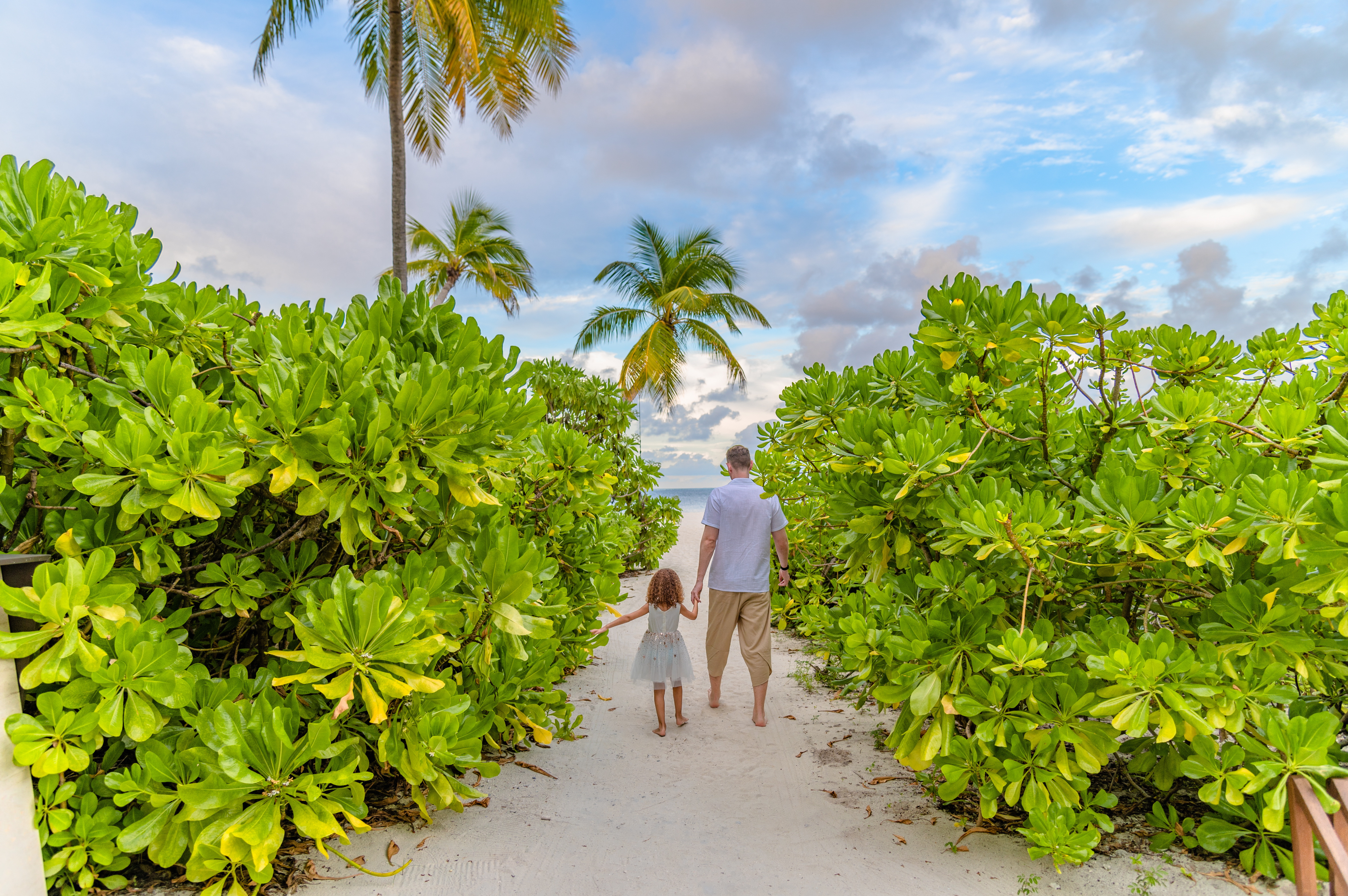 Advisor - Jeremy Provost