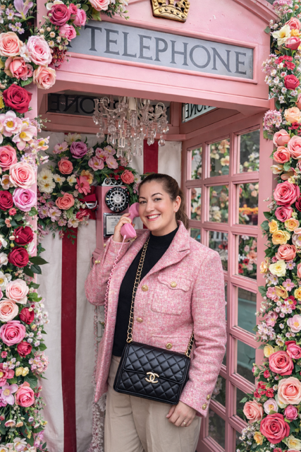 Advisor - Marisa Varga