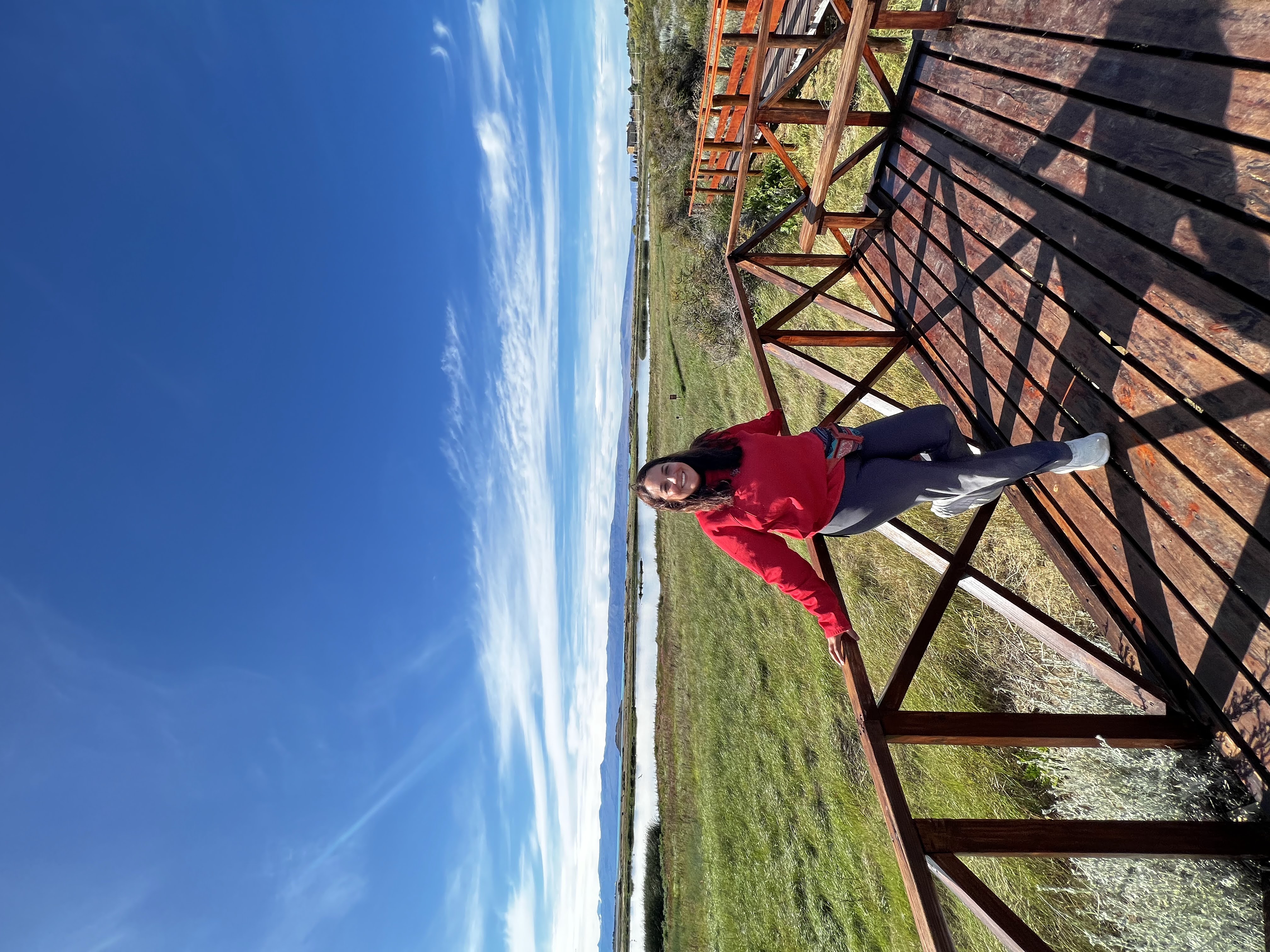 Advisor - Mariana Vázquez Mora