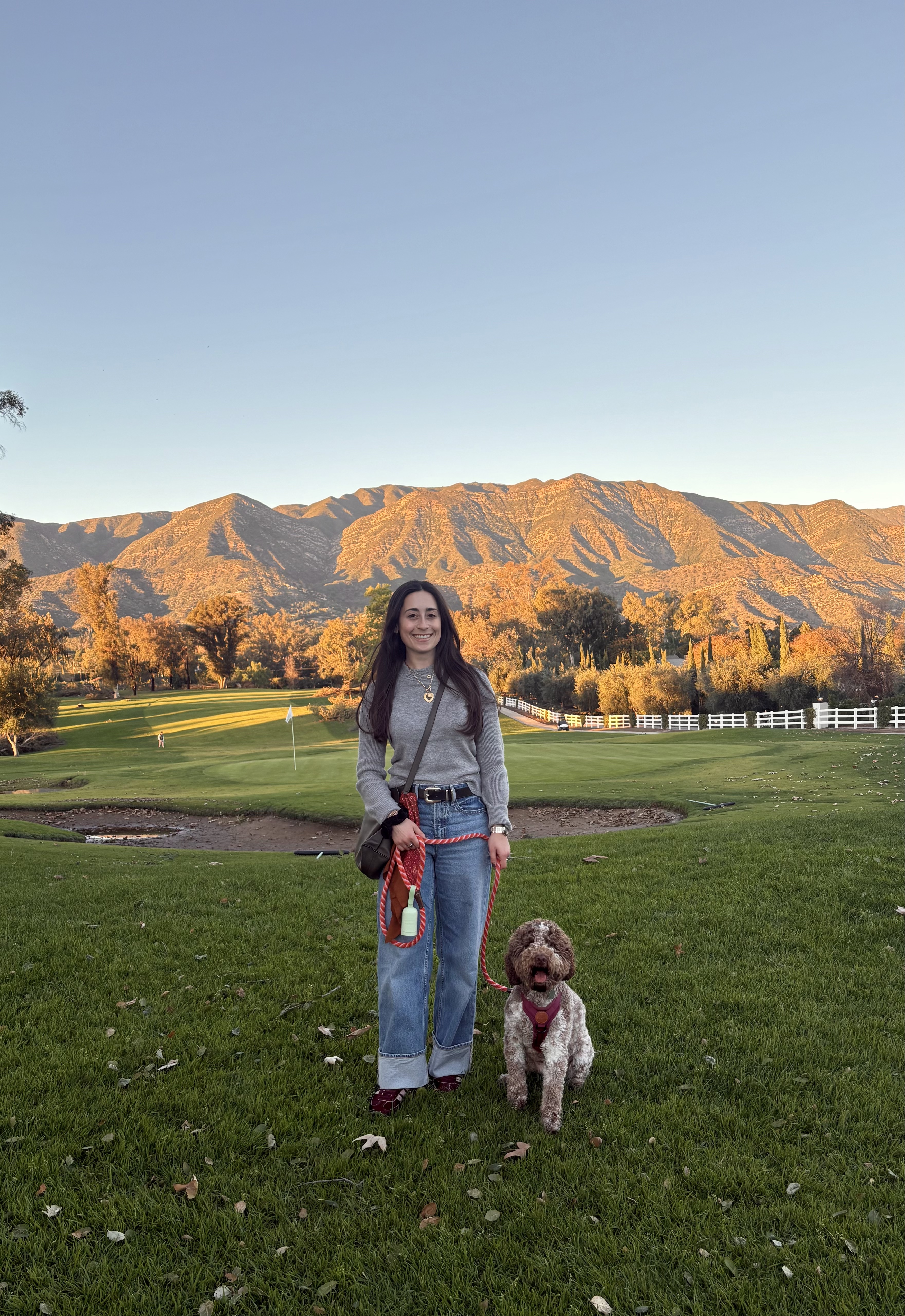 Sophie Cummins Dehrey curated by Sophie Cummins Dehrey