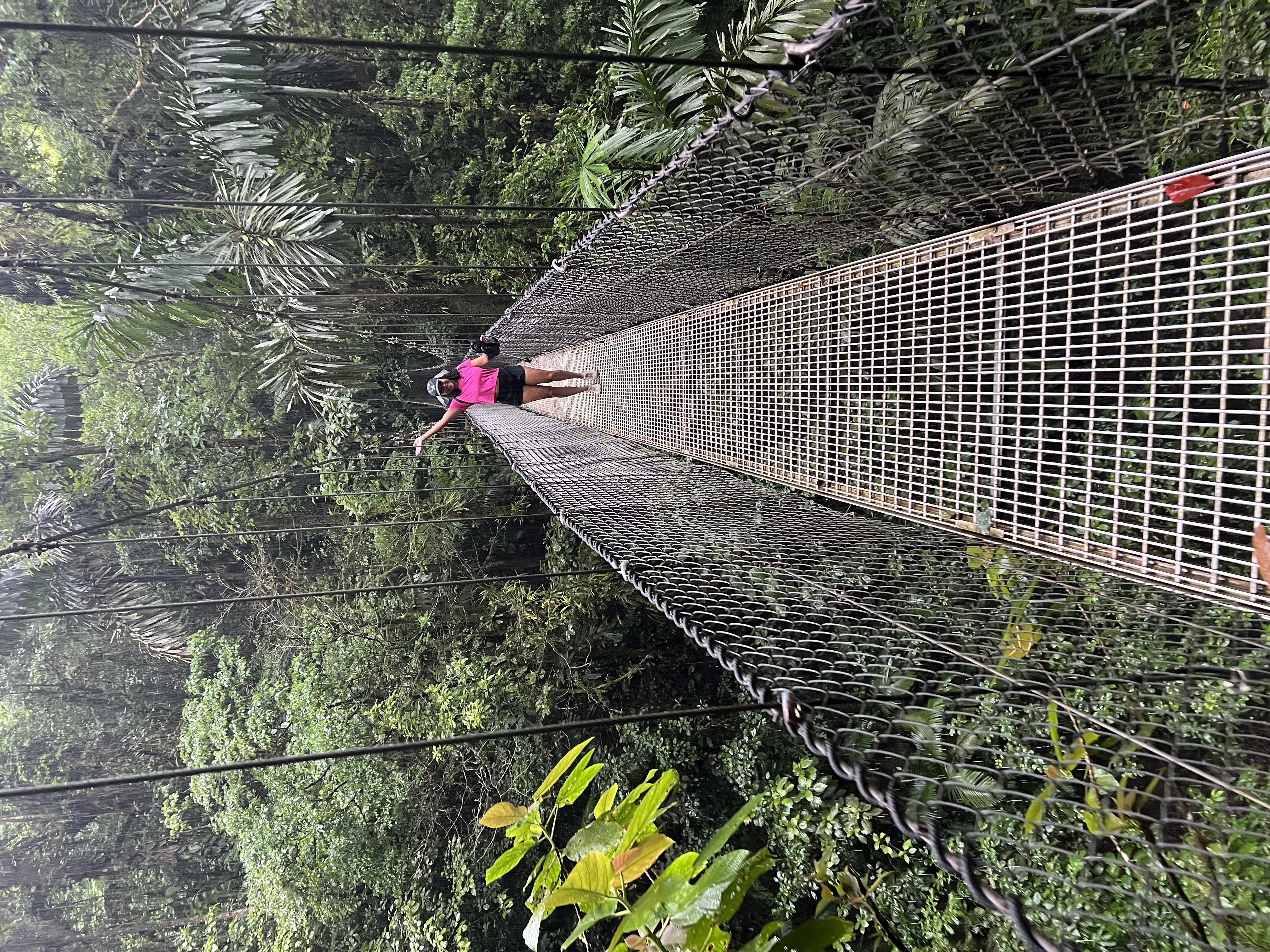 Advisor - Tiffany Blackley