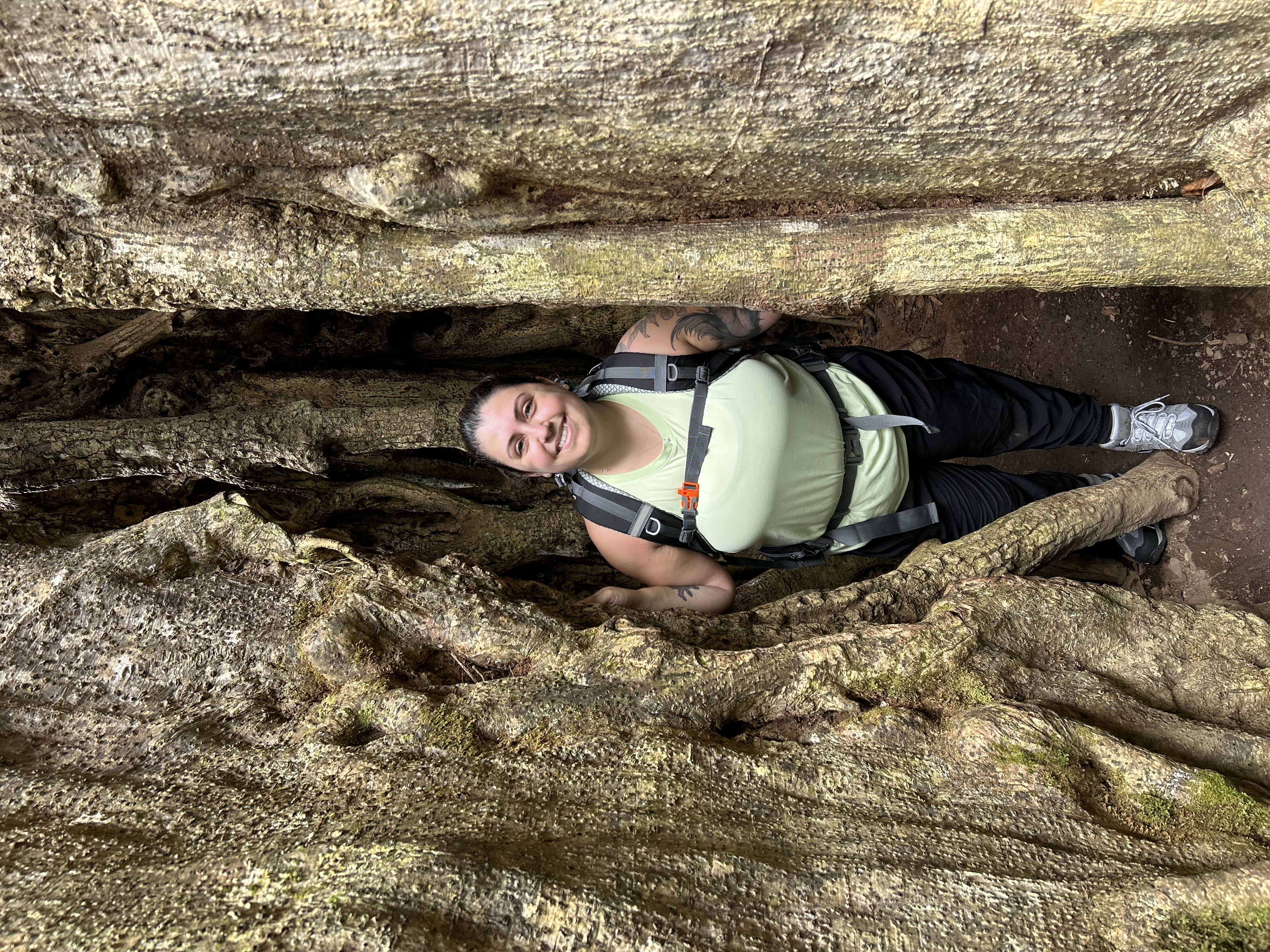 Advisor - Madison Cooper