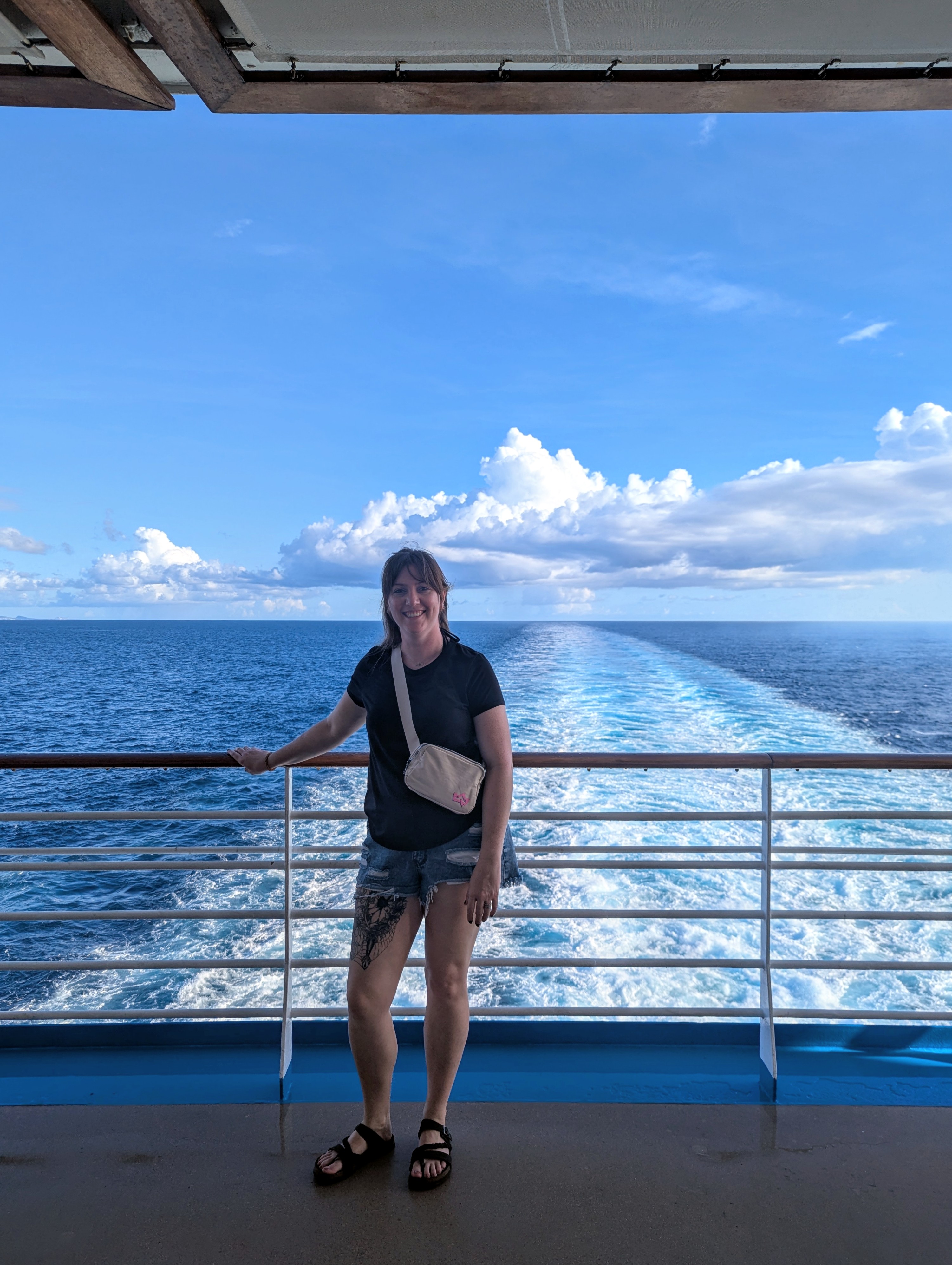 Advisor - Brianne Mussard