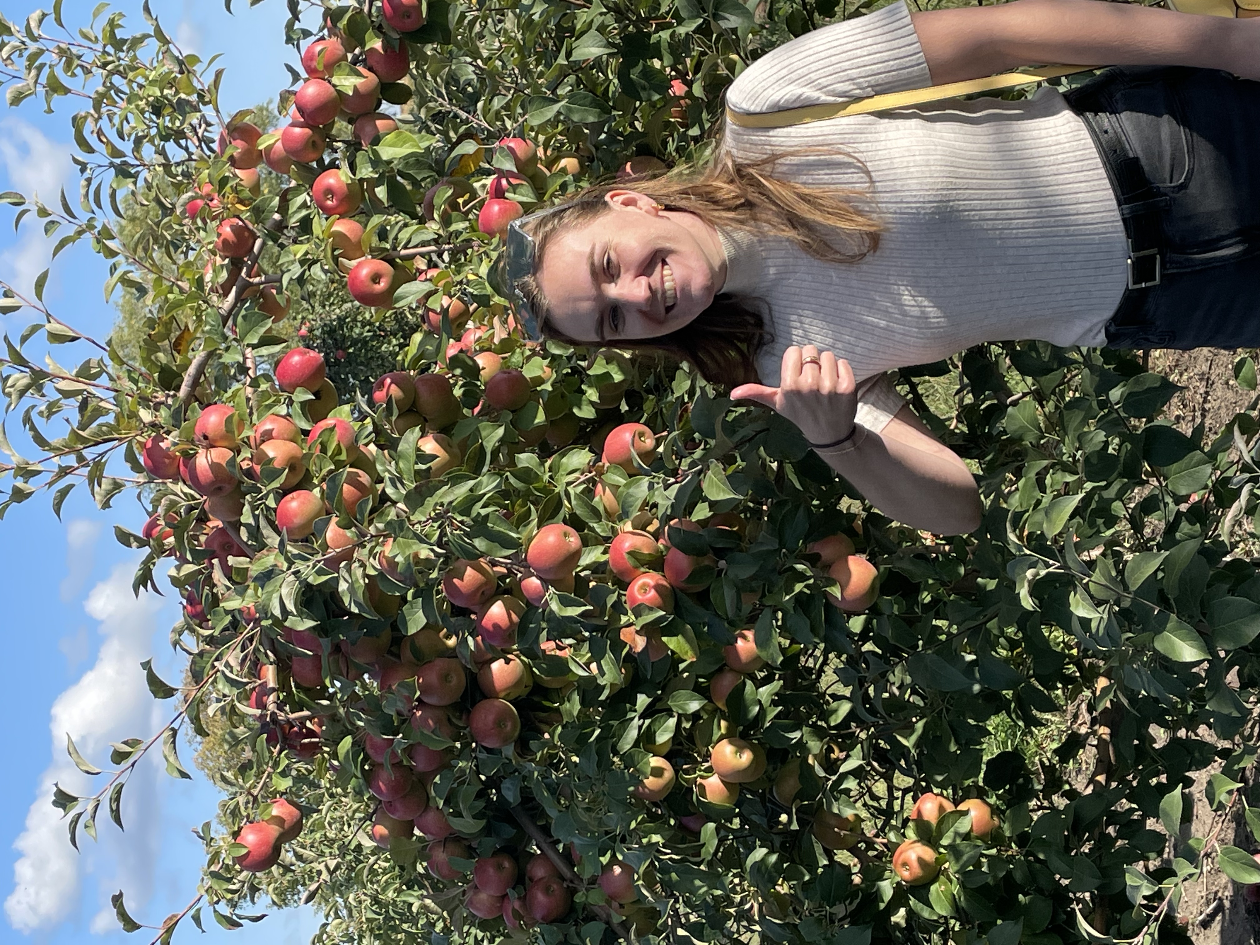 Advisor - Kristen Epperly