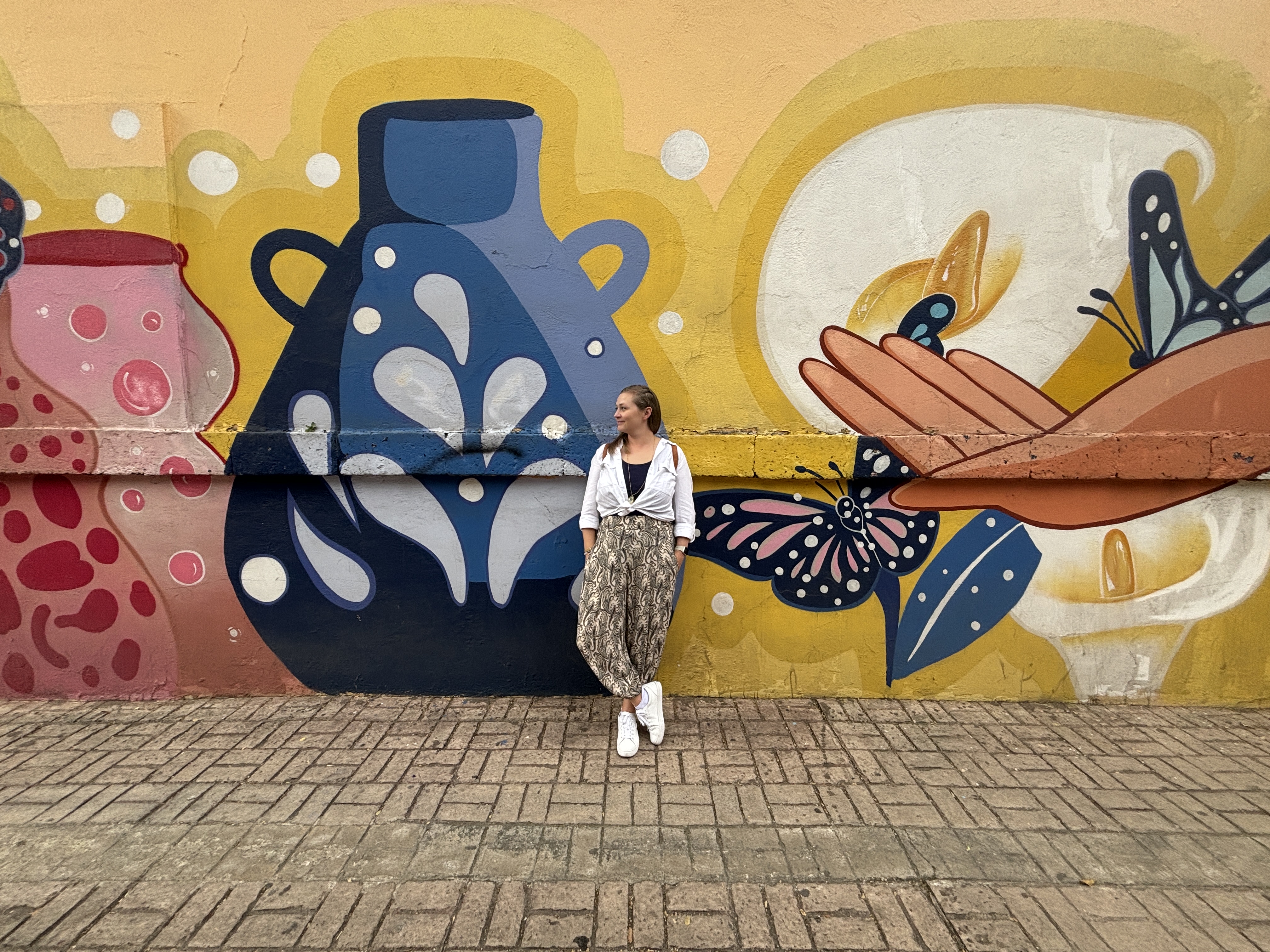 Fora Author - Devon Heyns