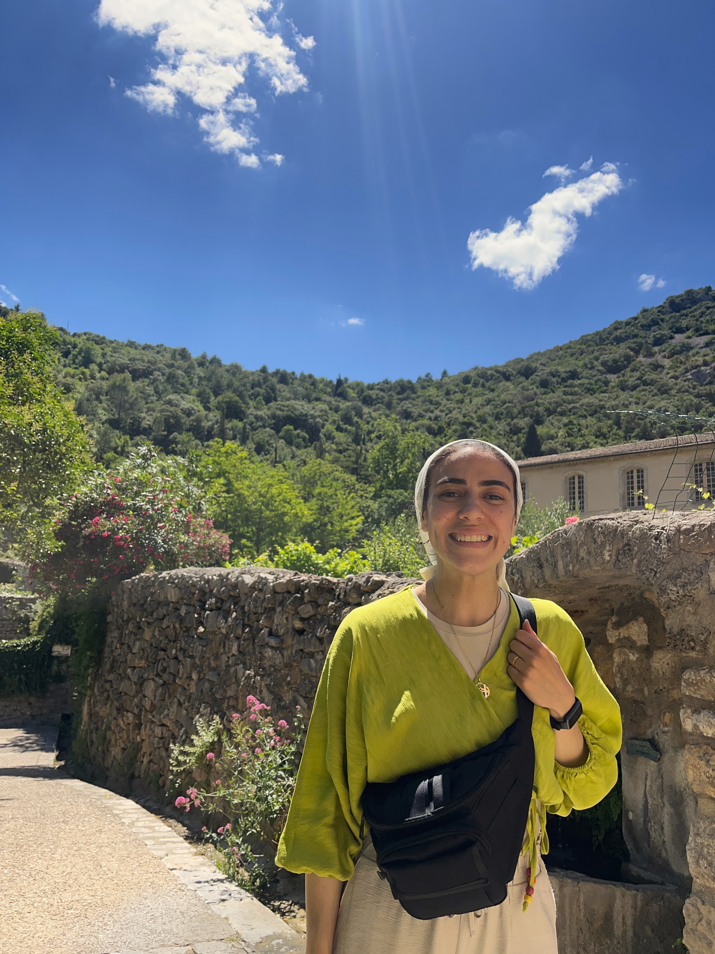 Advisor - Hagar Haggag