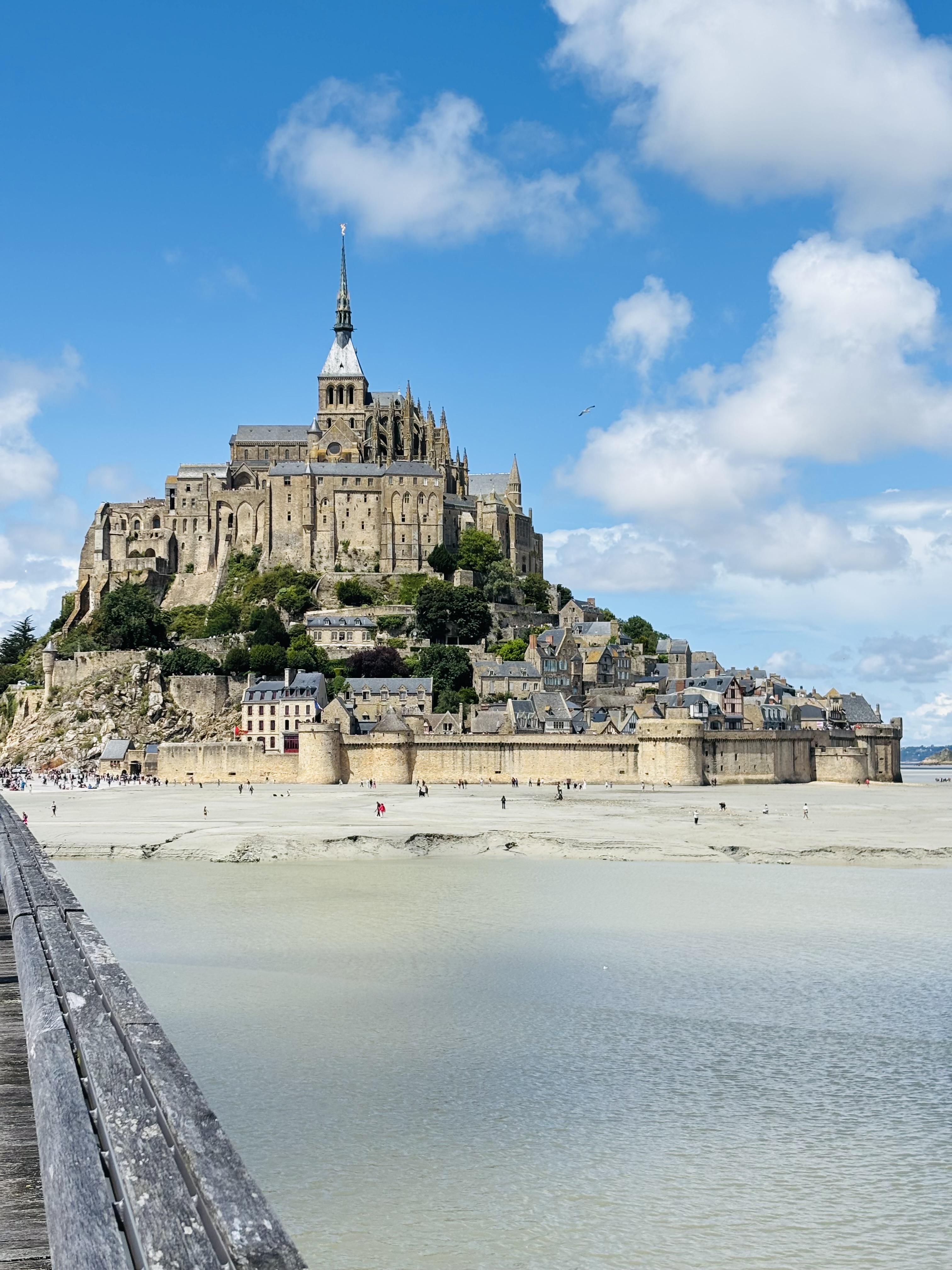 Advisor - Maria Winters