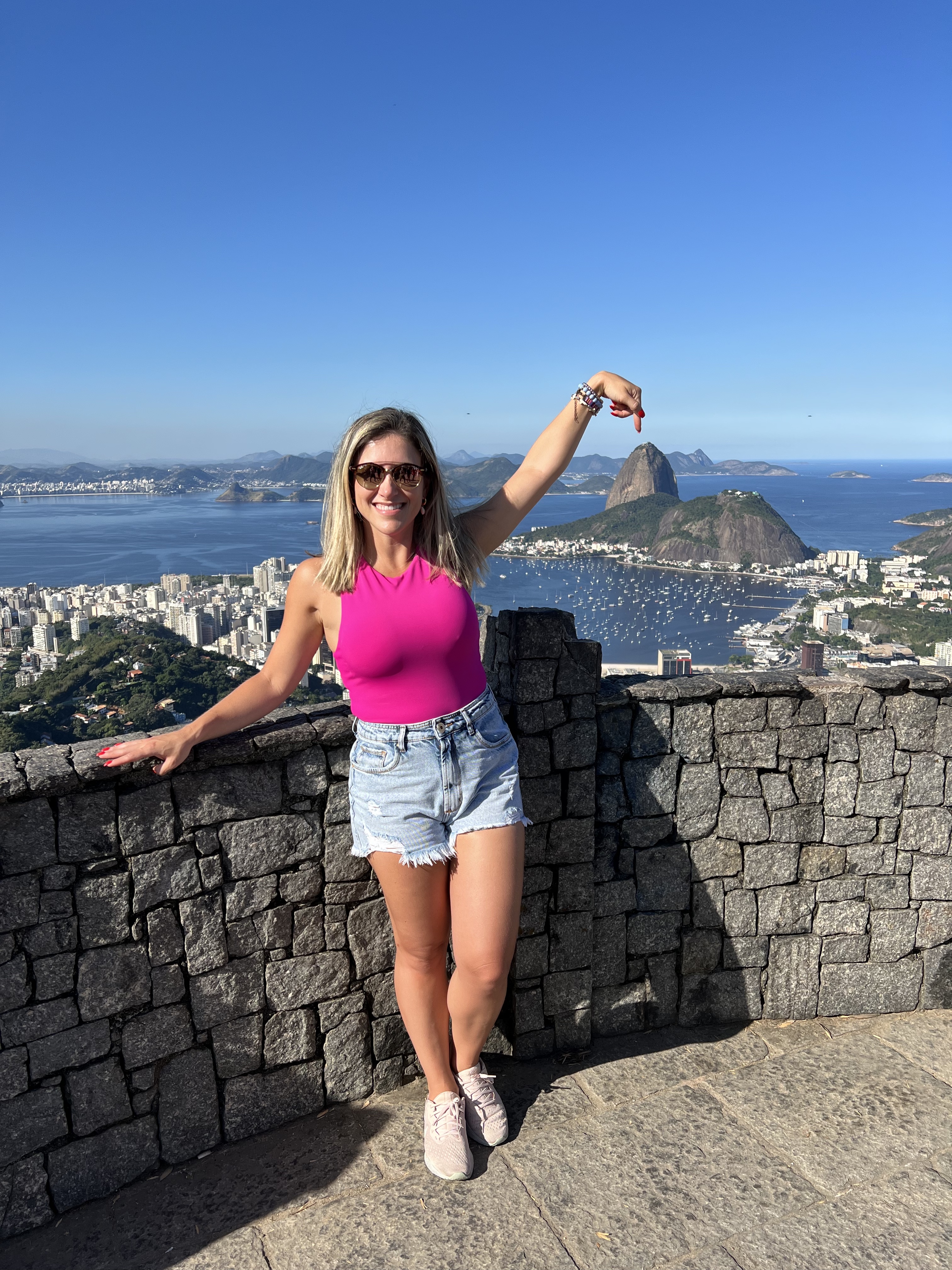 Advisor - Aline Fattori