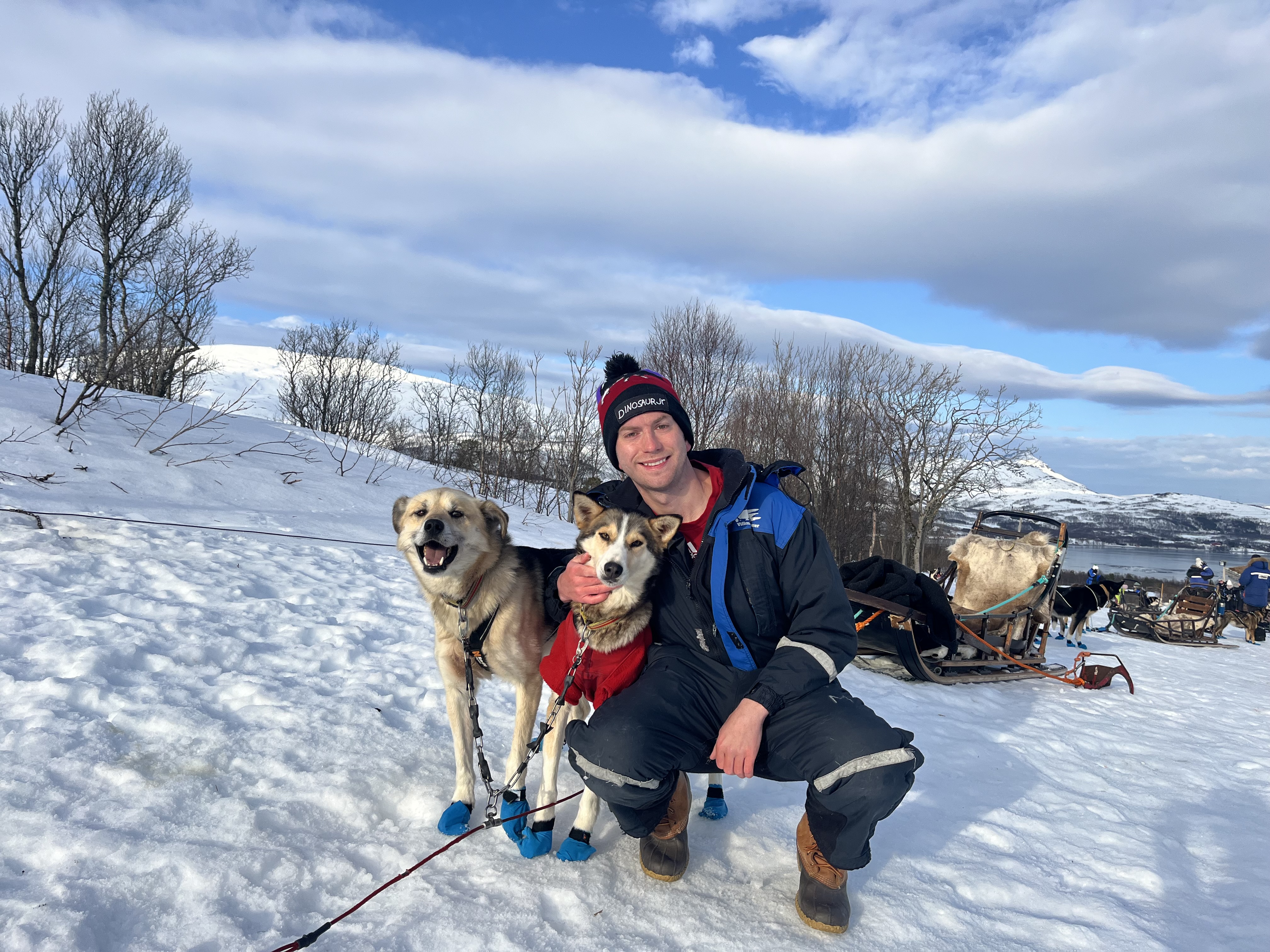 Michael Stein curated by Michael Stein