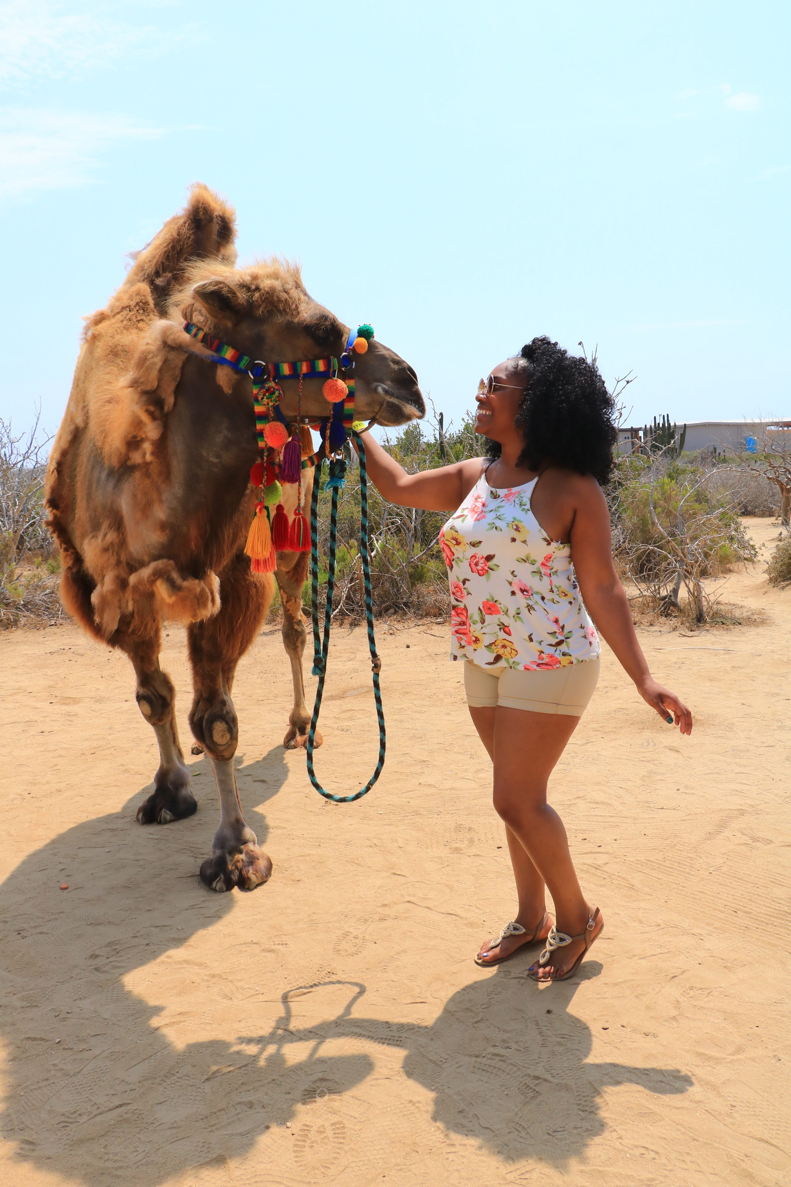 Advisor - Ashley Bishop