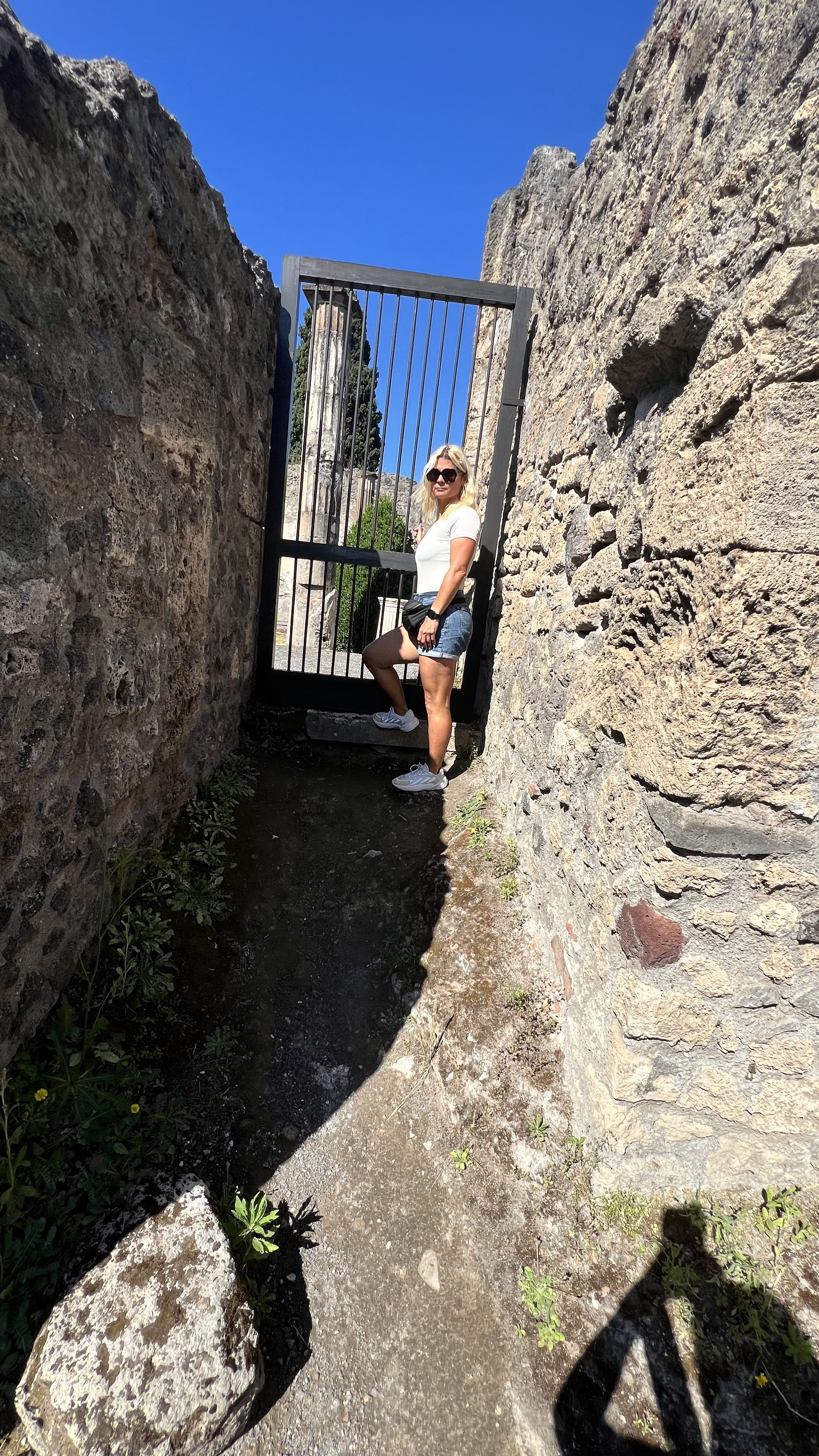 Advisor - Vanessa Aviles