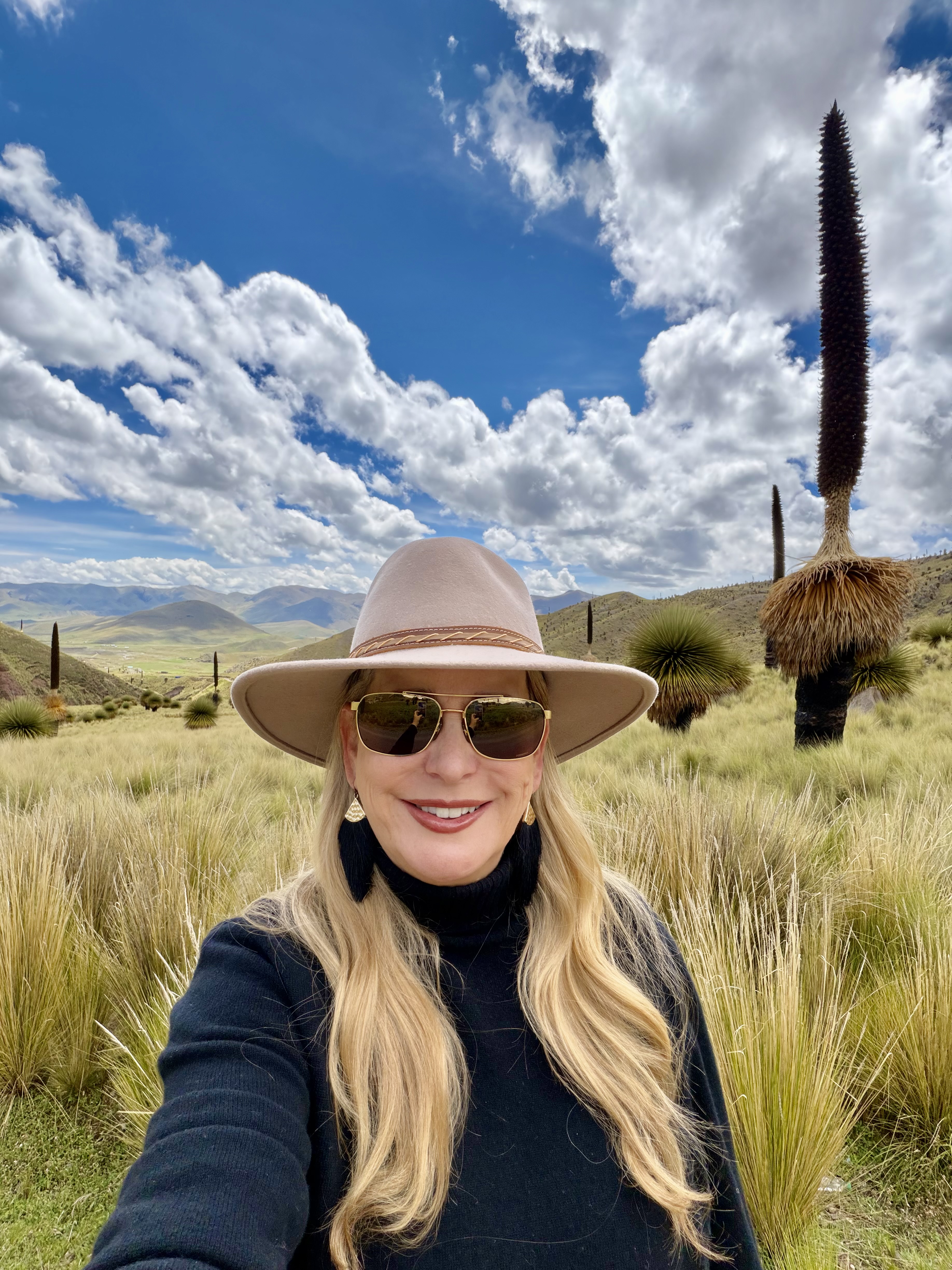 Advisor - Jennifer Seelicke