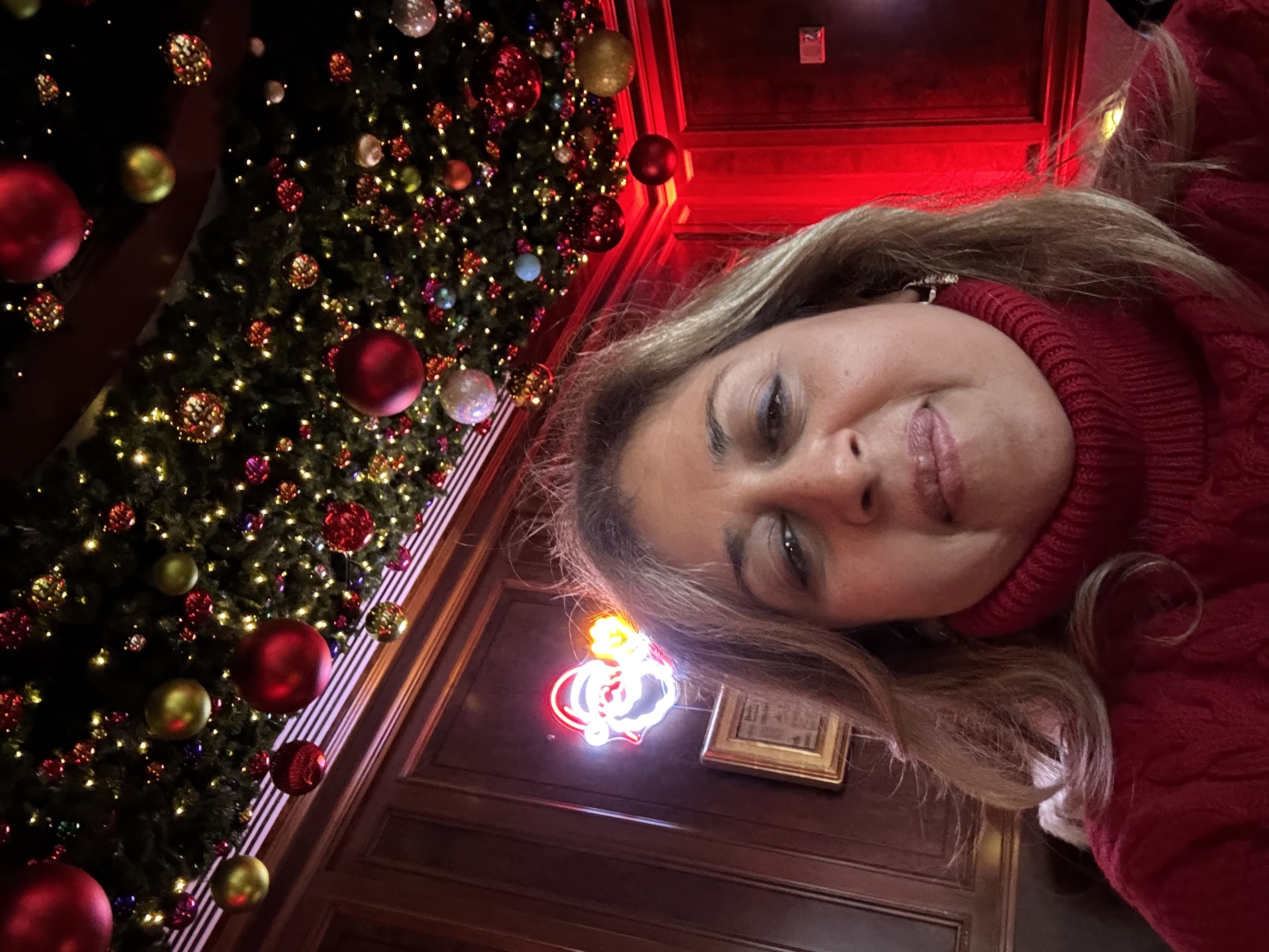 Advisor - Meeta Arcuri