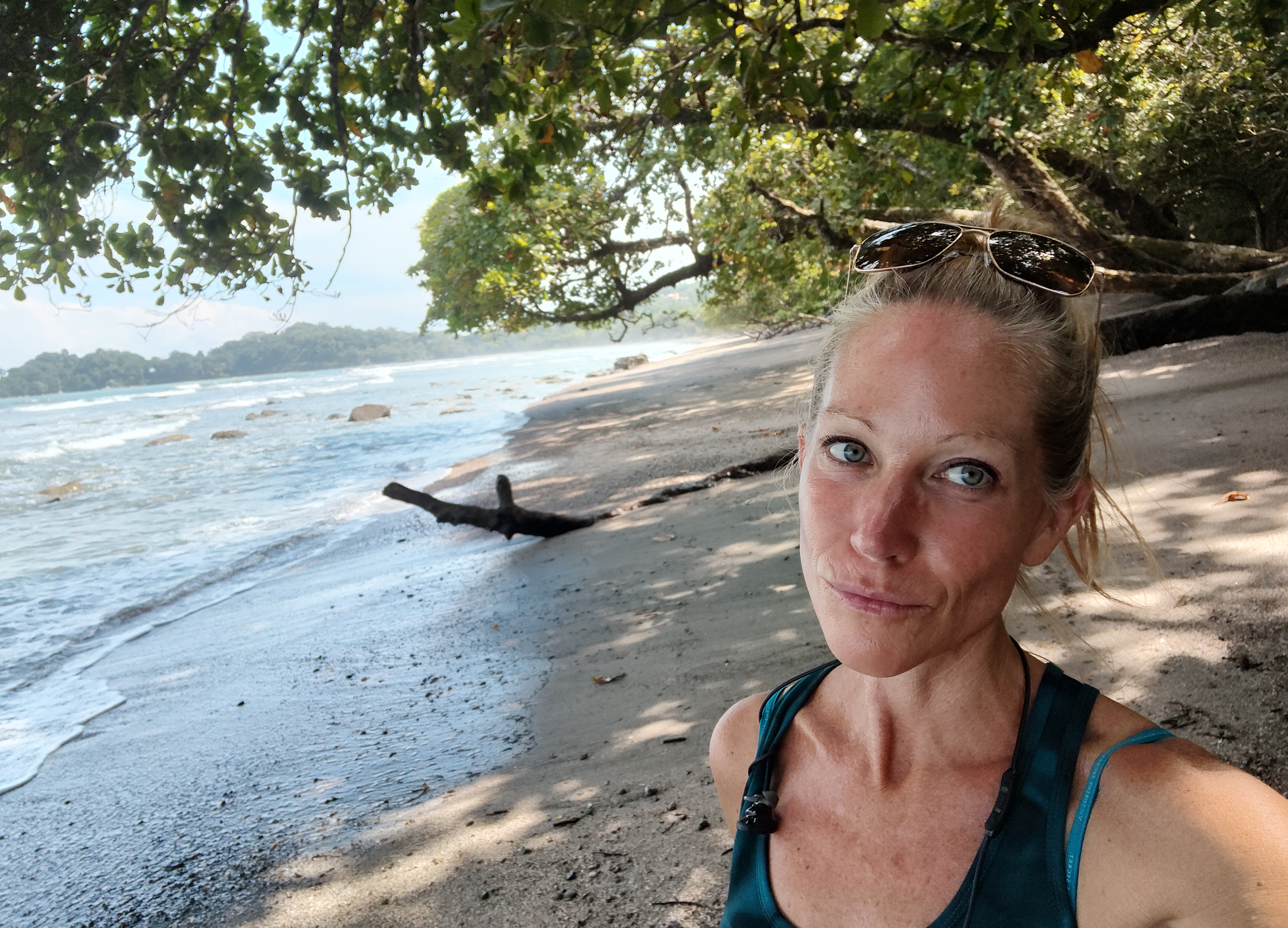 Fora Author - Shannon Elysea