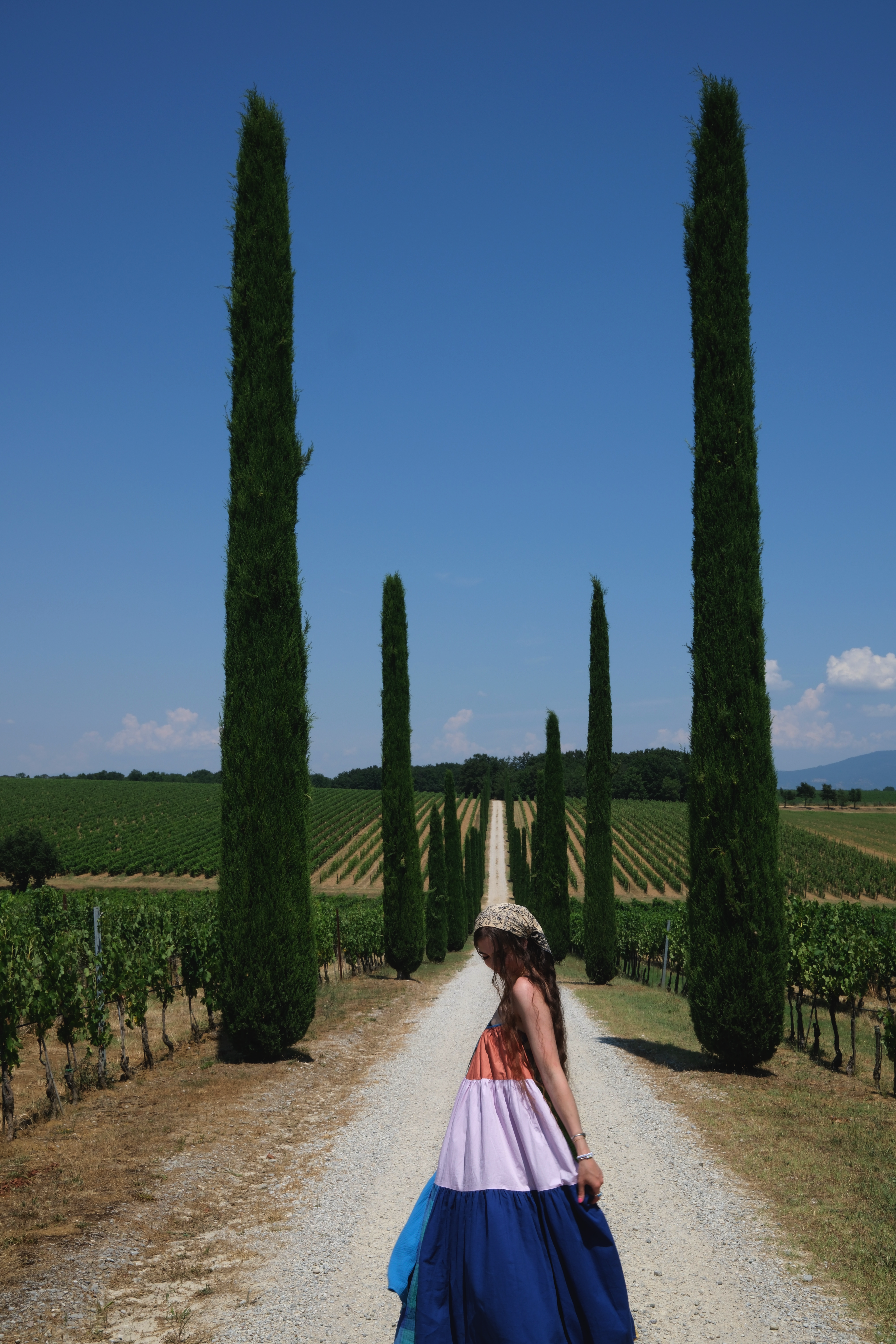 Advisor - Felina Dante