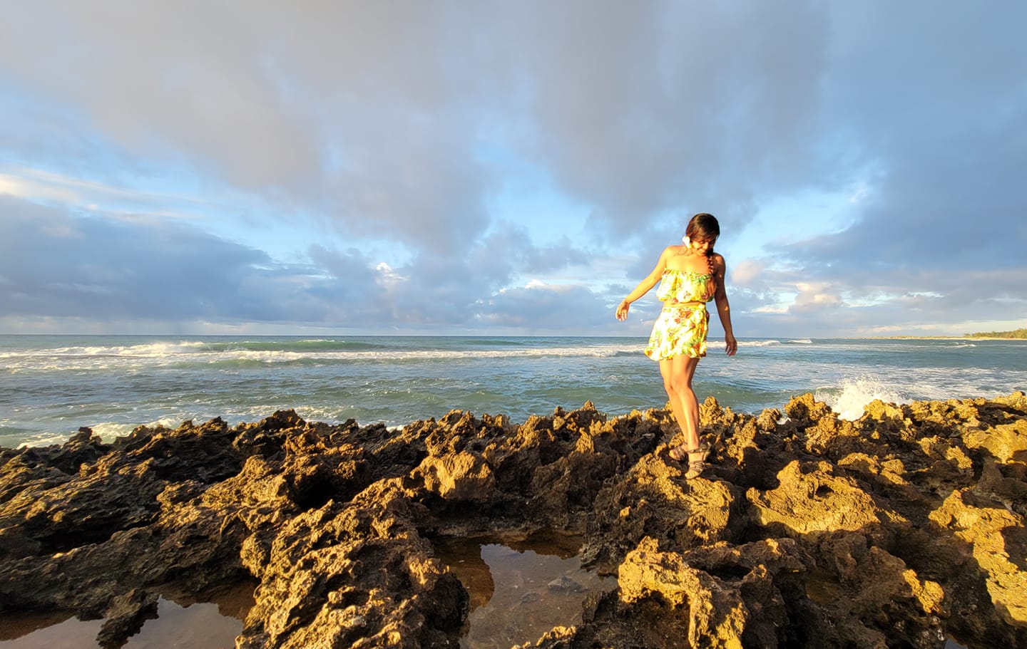 Fora Author - Myrchalyn Alarcio