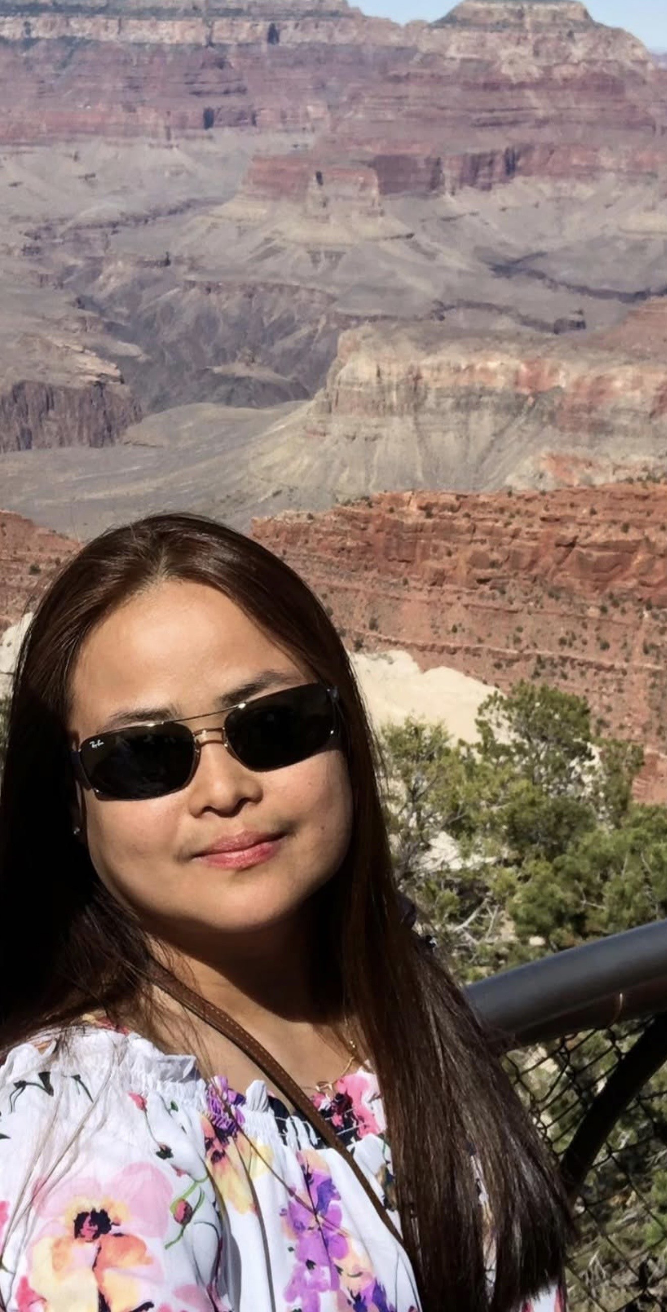 Fora Author - Analiza Lansangan
