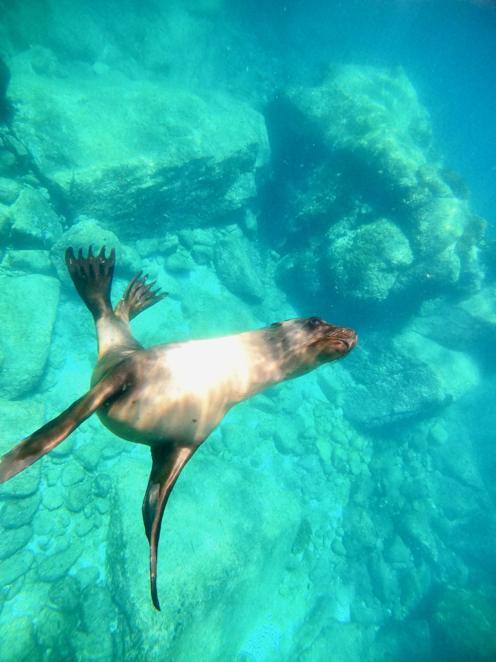 Advisor - West Coast Weekend Getaways: La Paz, Mexico