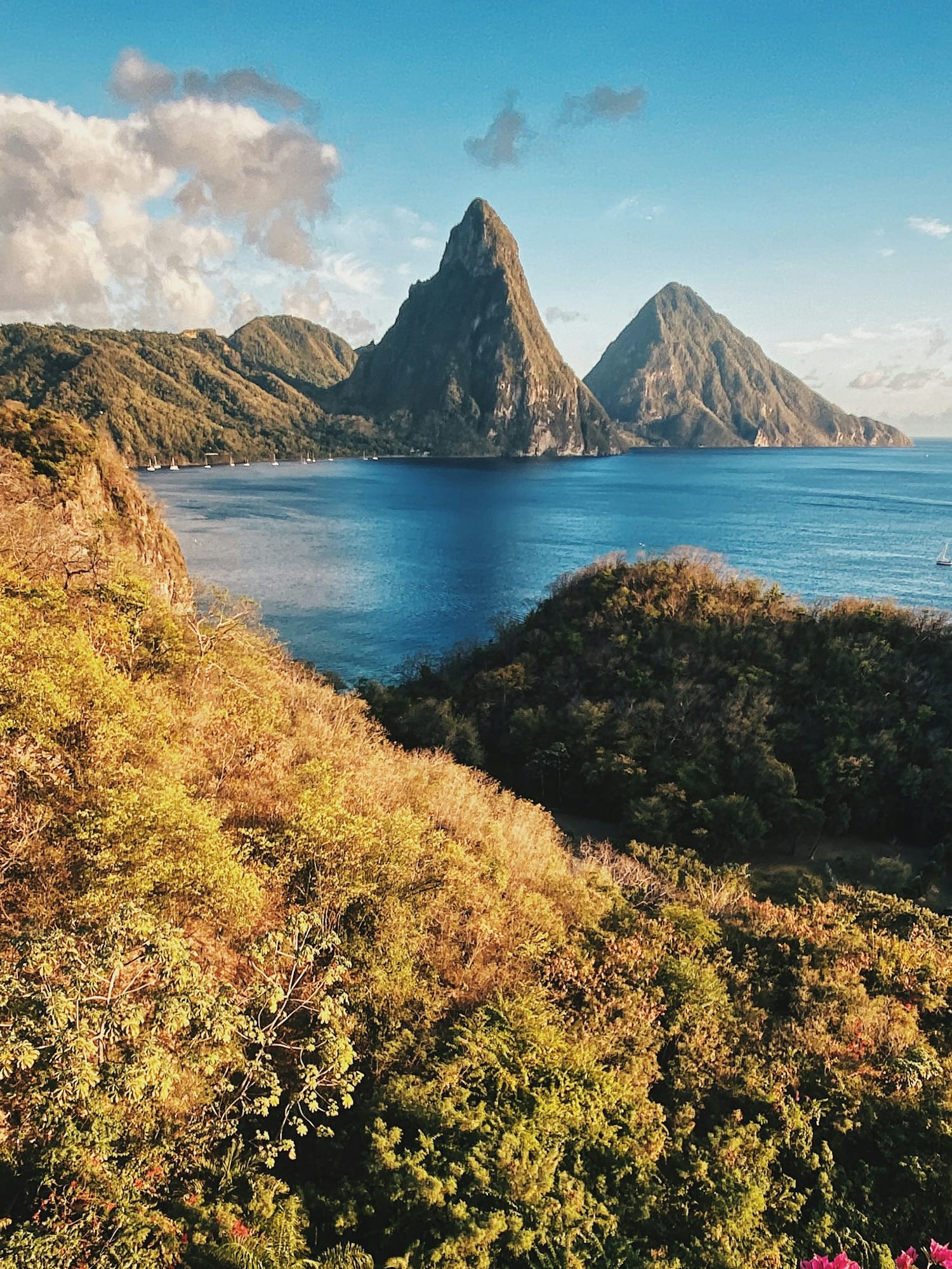 Advisor - Exploring St. Lucia