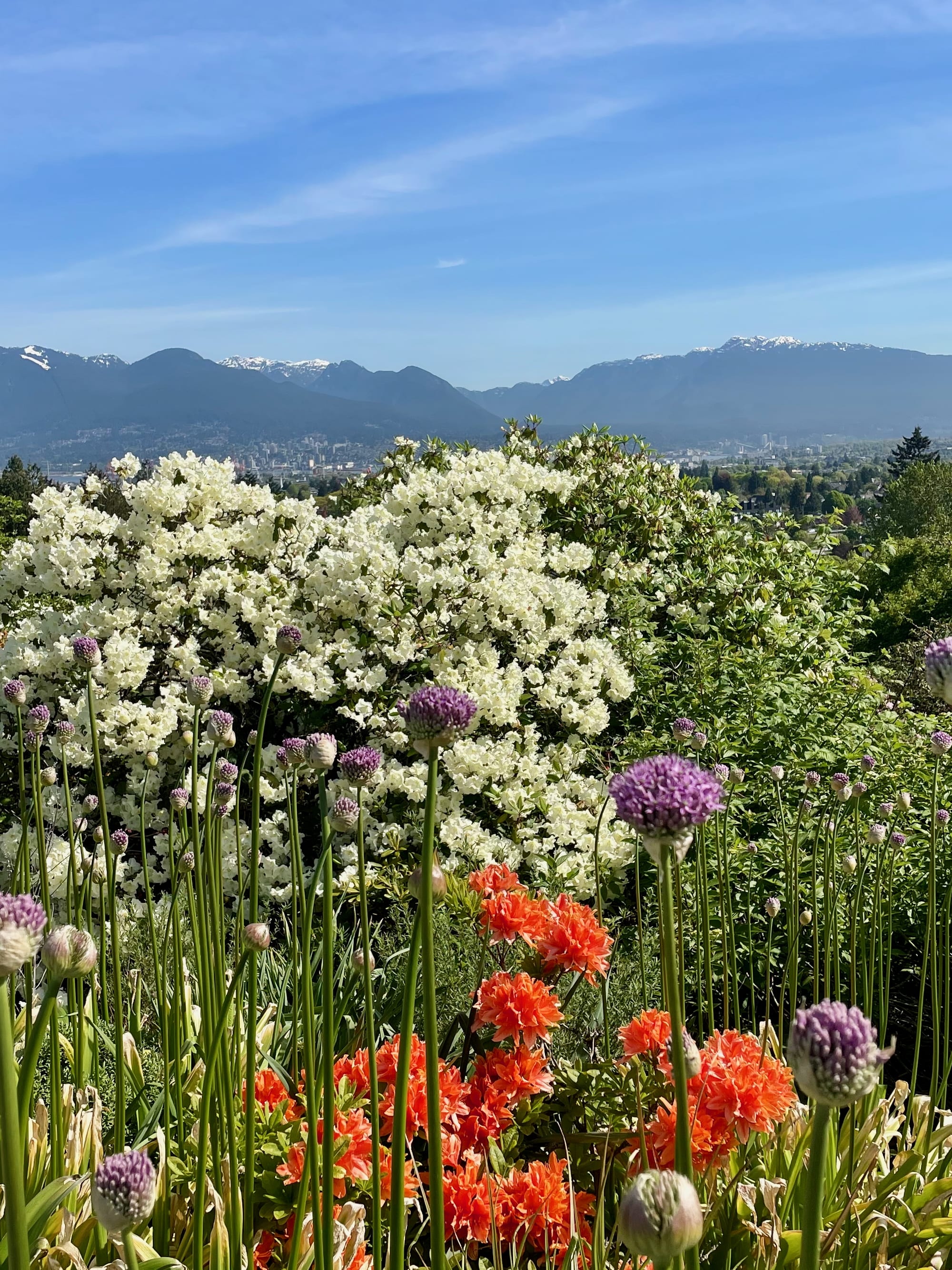 Advisor - Solo in the City: Eat and Bike Your Way Through Vancouver