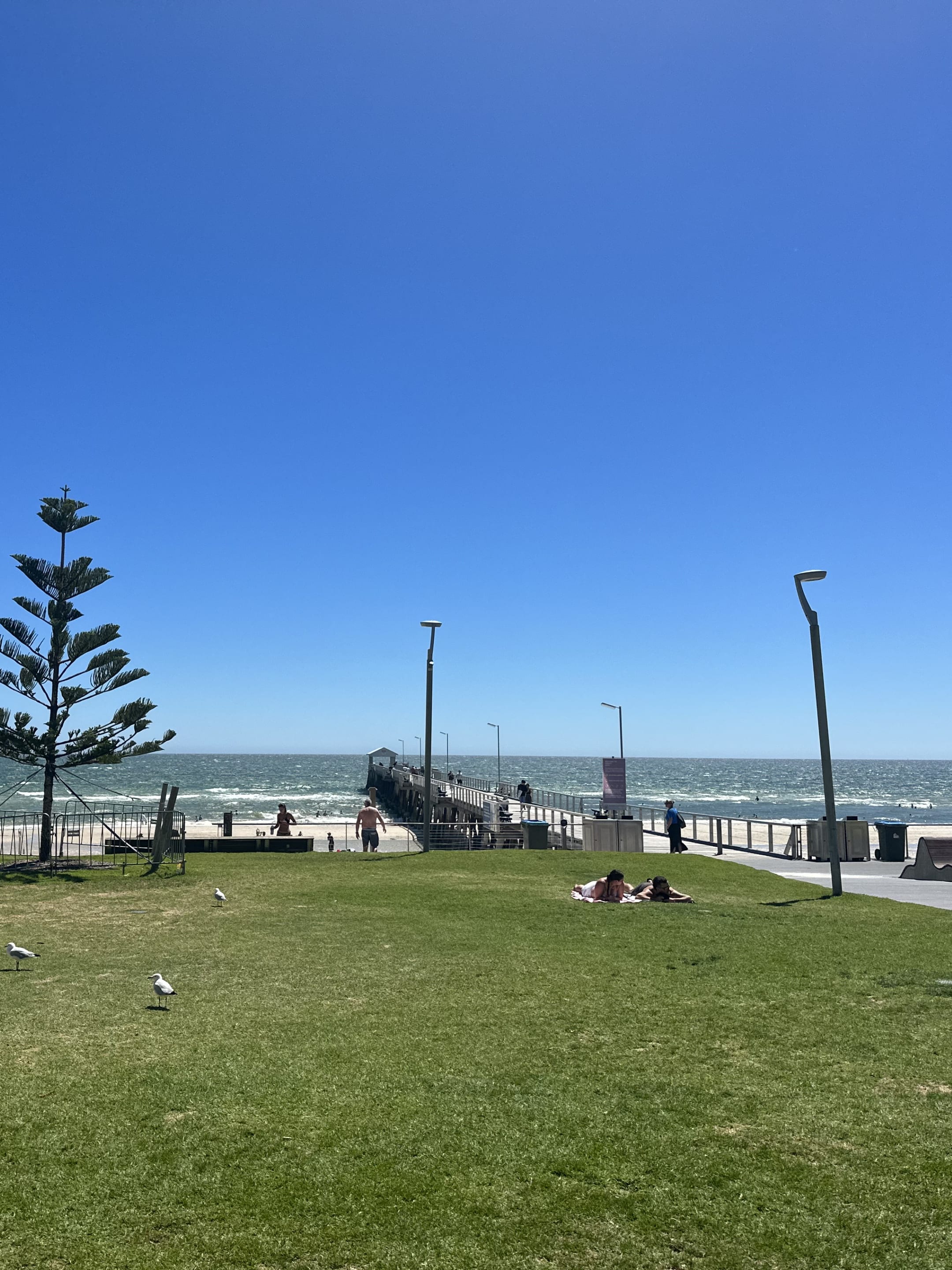 Advisor - The Ultimate Guide to Adelaide: Food, Wine and Adventure