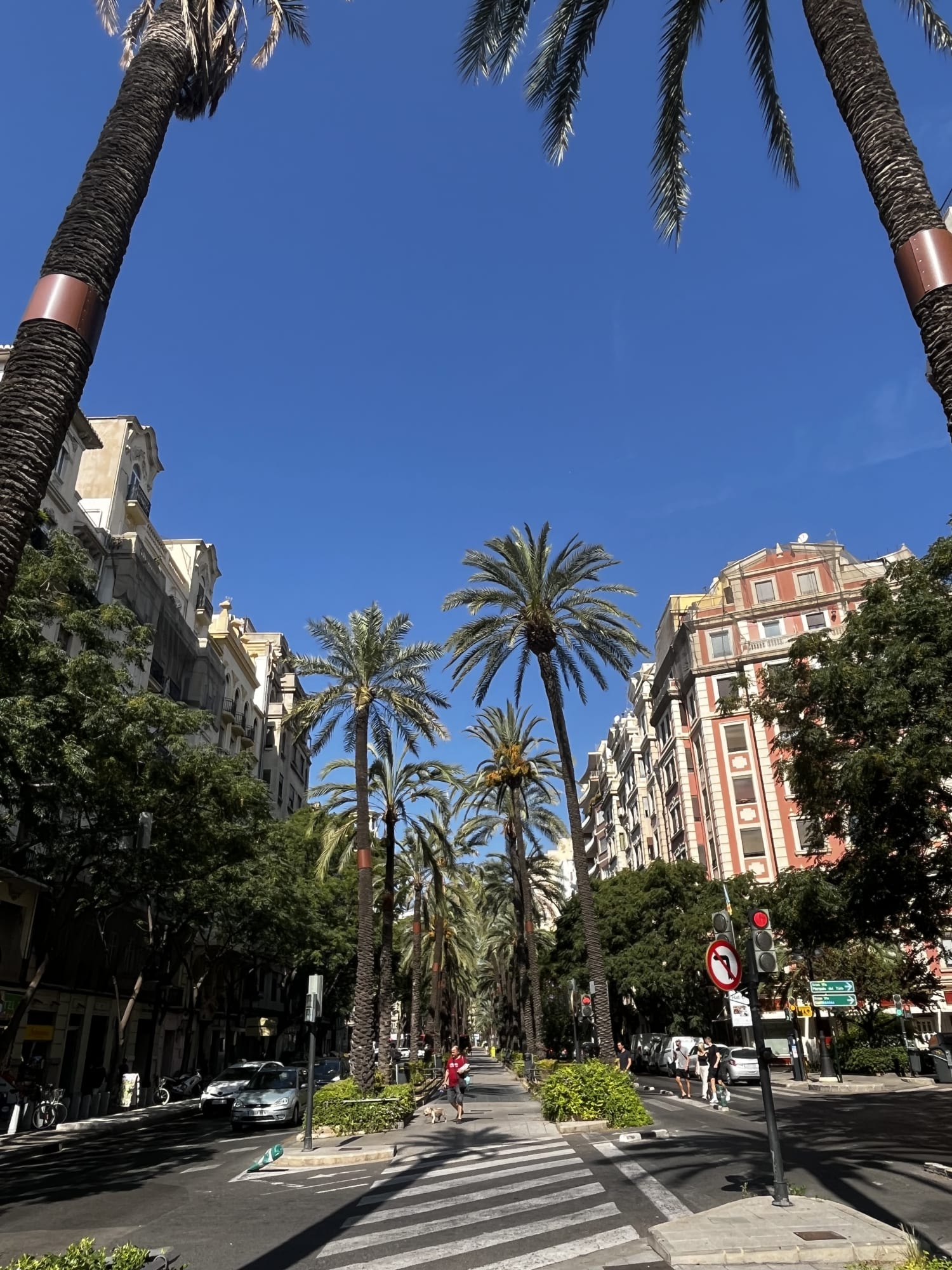 Advisor - Beyond Paella: A Guide to Vibrant Valencia