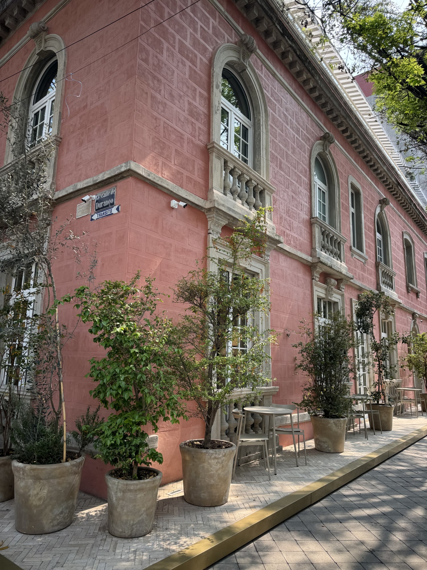 Advisor - 4 Days in Mexico City: A Travel Guide for the Best Culture and Dining in CDMX