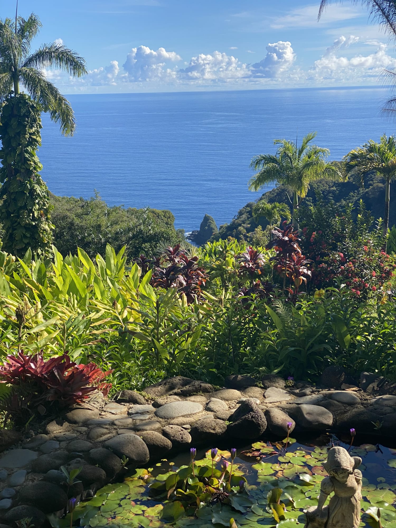 Advisor - Maui’s Road to Hana: Top Stops You Can’t Miss