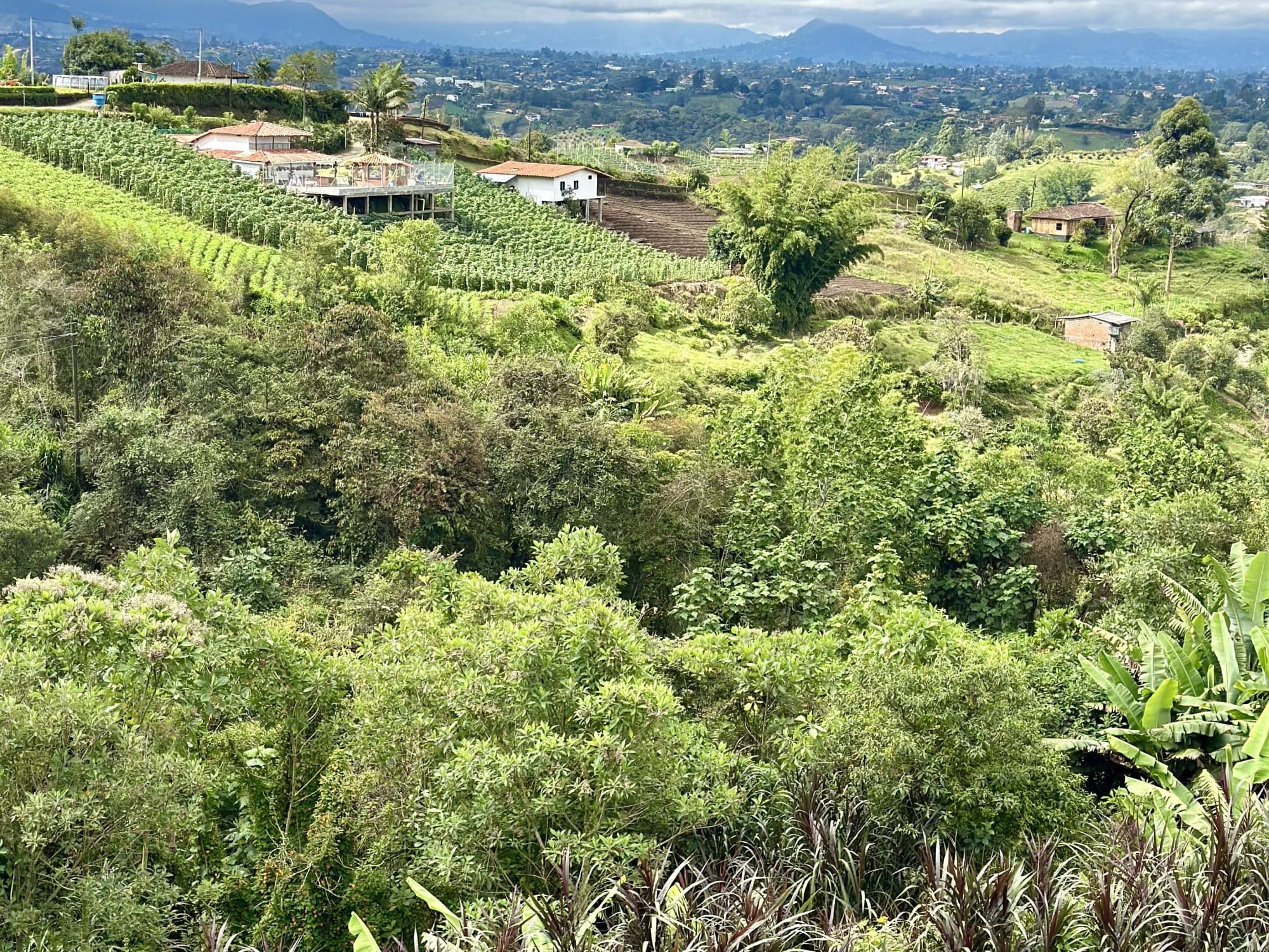 Travel Guide to Colombia: Medellín, Cartagena, Baru Islands & Cannua