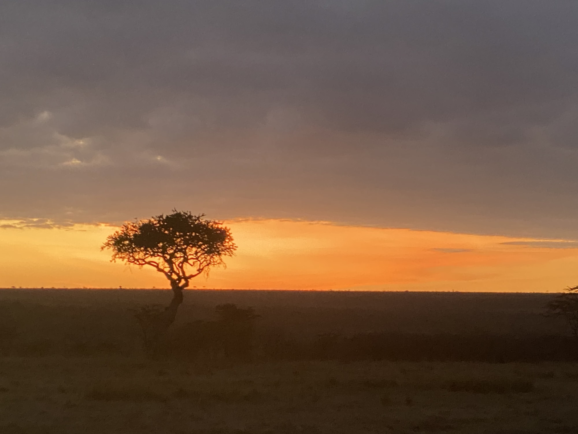 Lounging in Luxury at the Saruni Leopard Hill Reserve in Masa Mara, Kenya