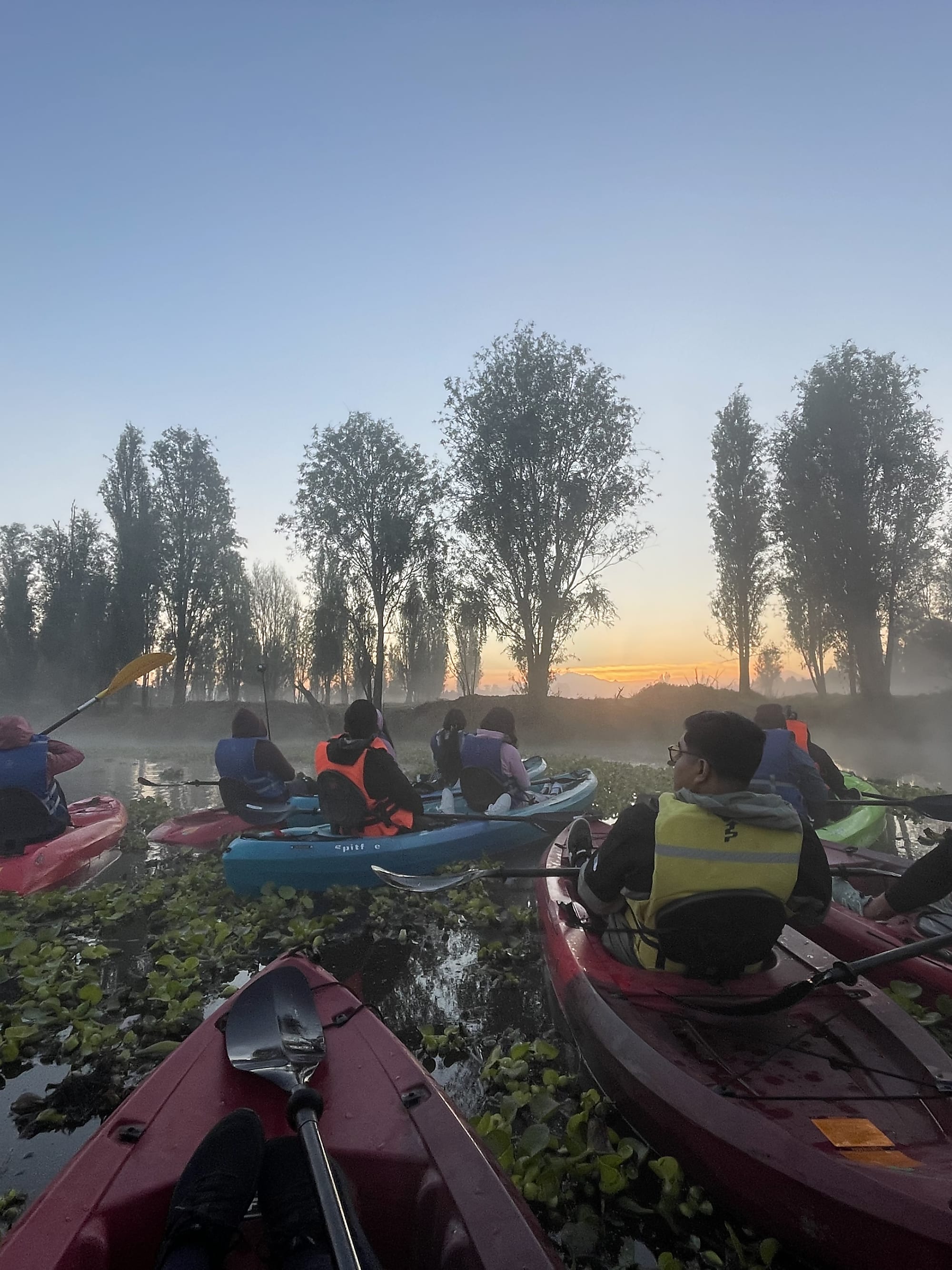 Advisor - Off The Beaten Path Adventures In Mexico City