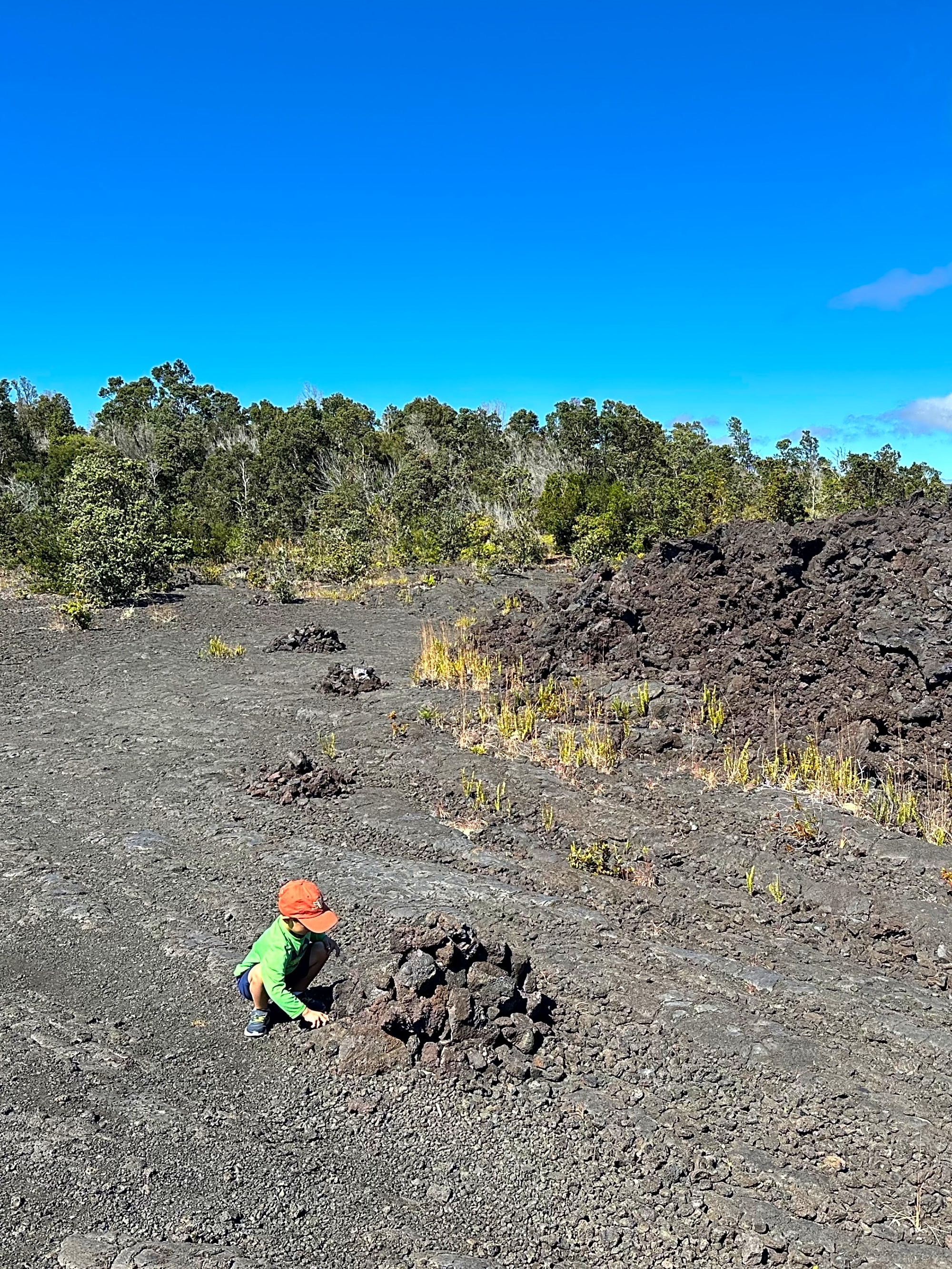 Advisor - A Year-Round Guide to Enjoying Kona, HI With Kids