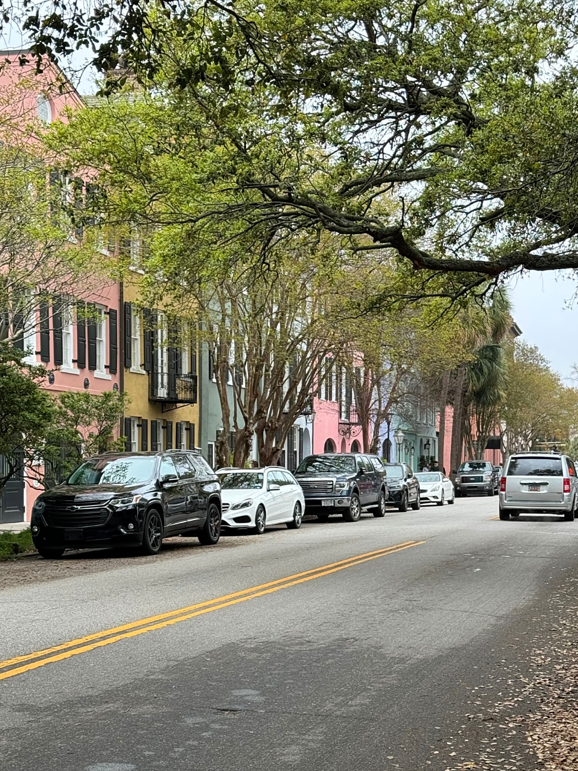 Advisor - A Single Girl's Weekend Getaway: Charleston, SC Guide