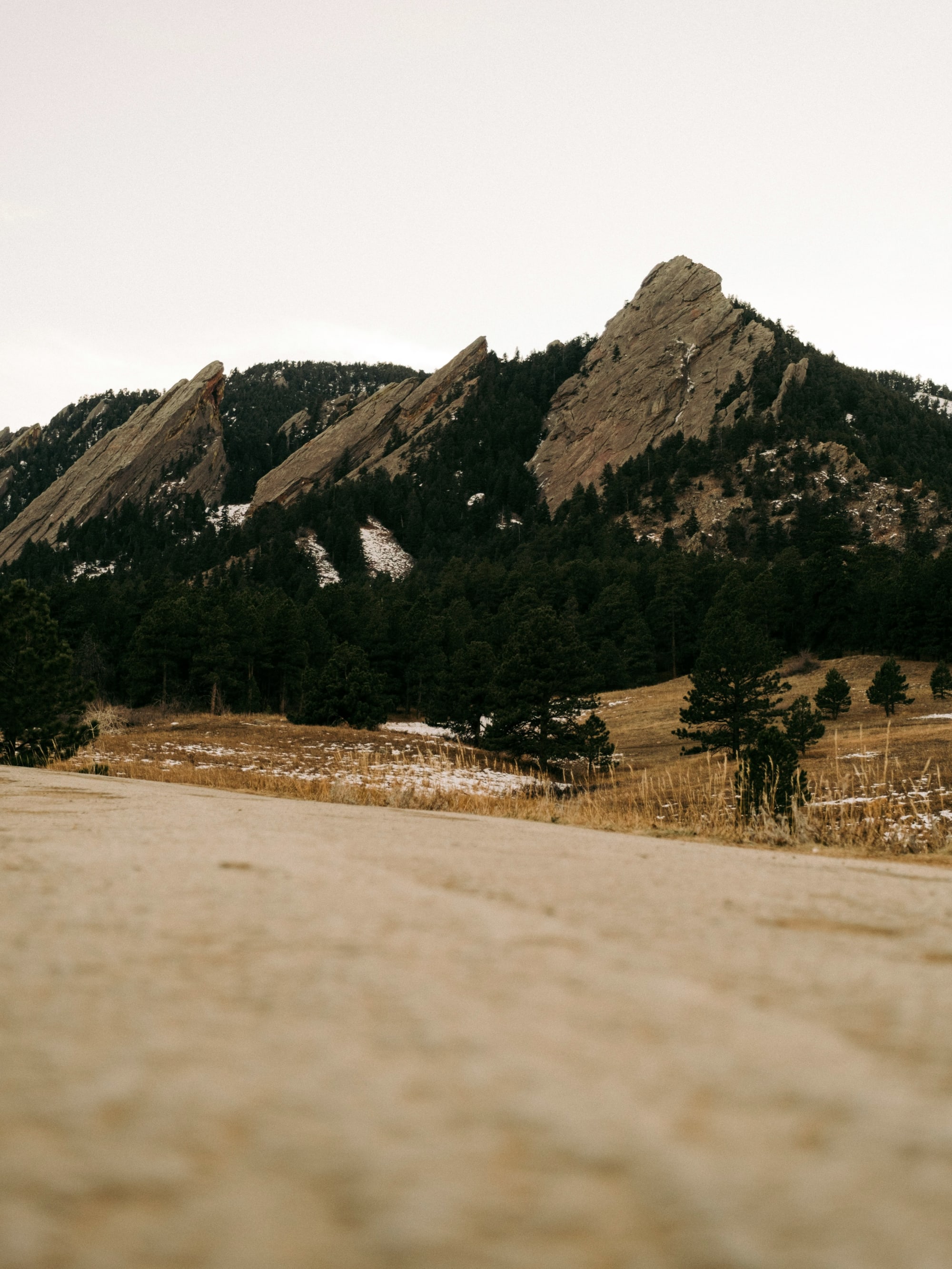 Advisor - A Mile-High Adventure: 5 Days in Denver - Family Edition