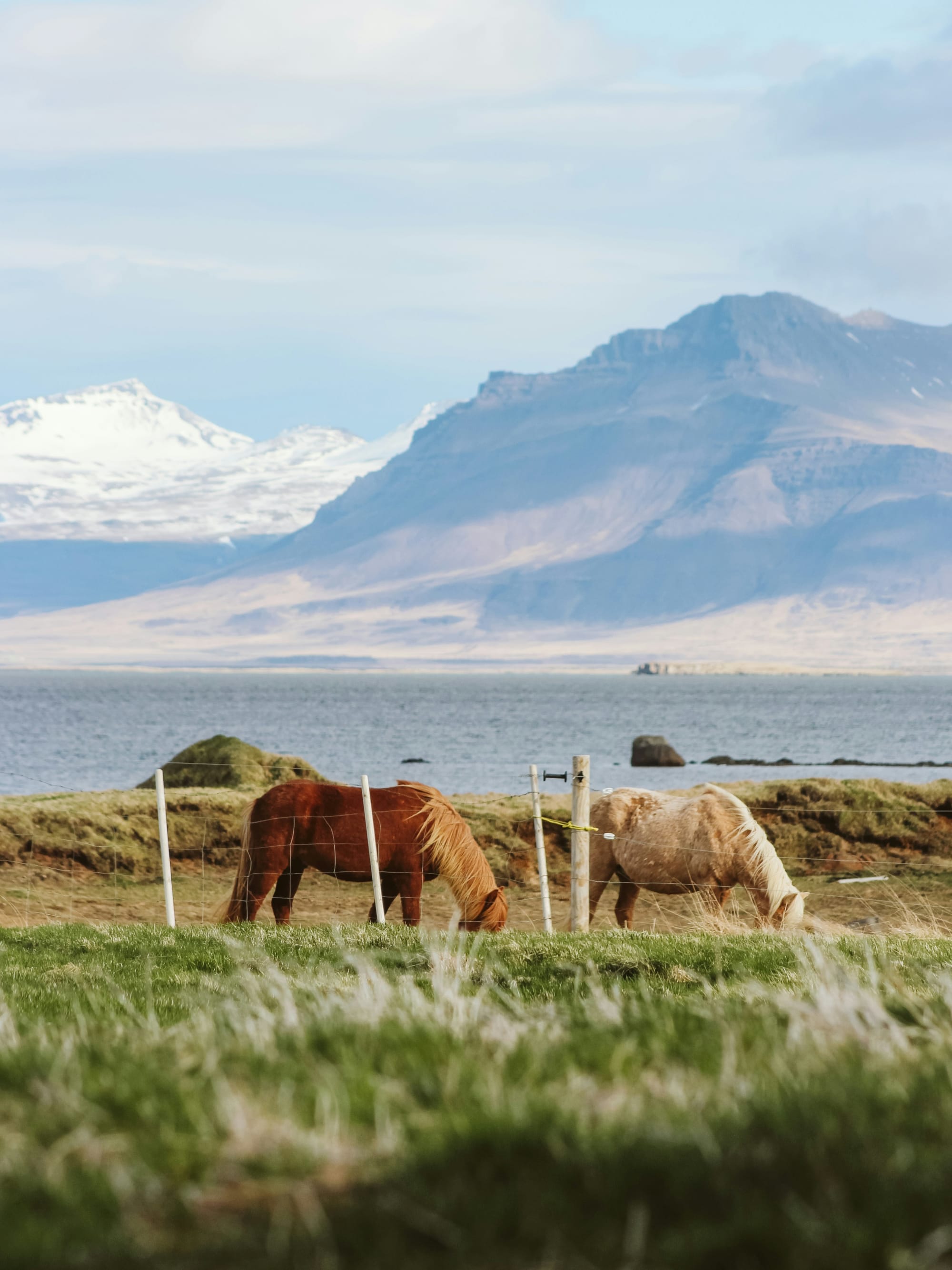 Advisor - Ultimate 7-Day Patagonia Itinerary: Best Hikes, Glaciers and Wildlife in Chile & Argentina