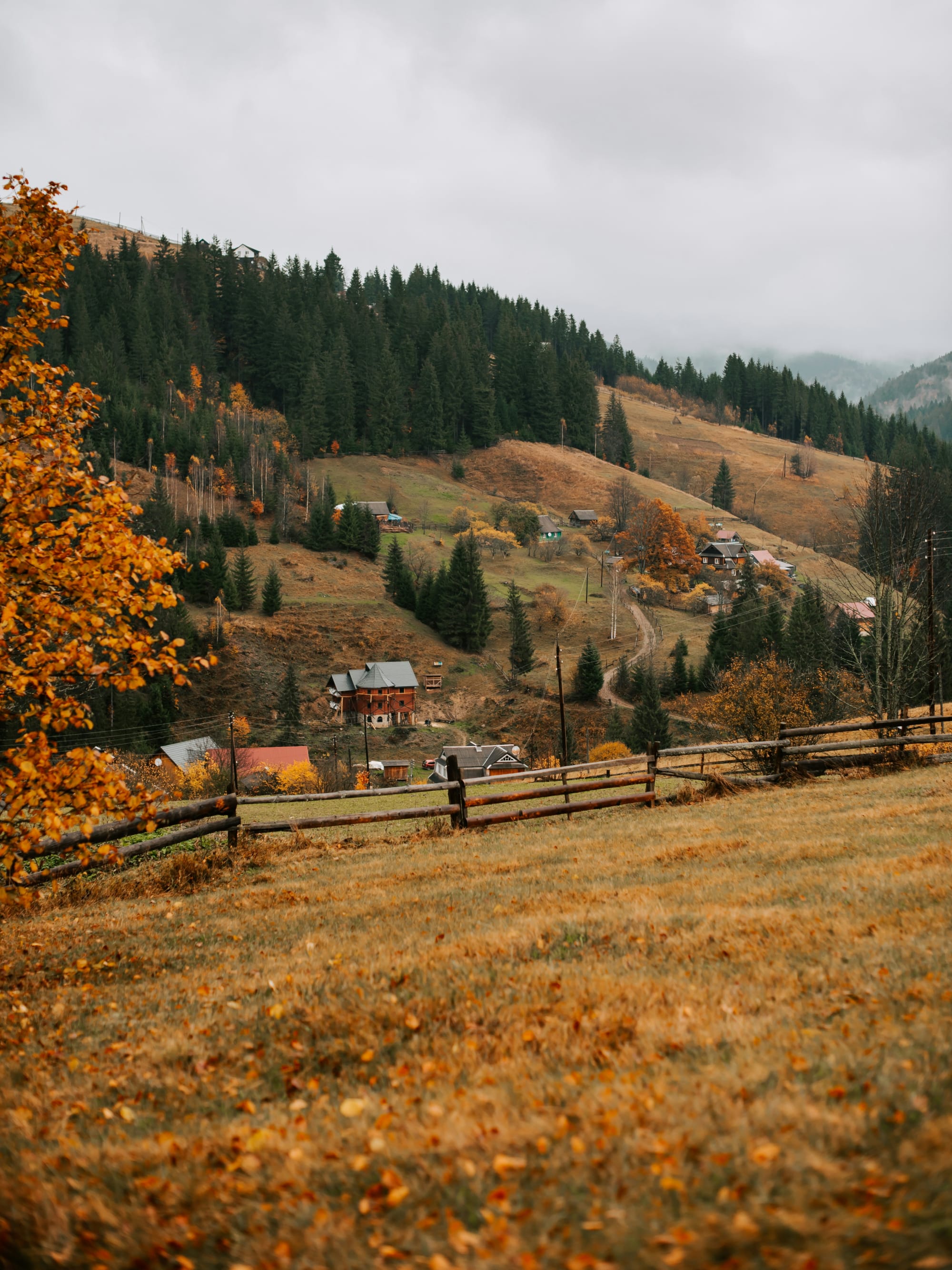 Advisor - 7 Day Alberta Itinerary: Calgary, Banff, Lake Louise, Moraine Lake, Jasper and Yoho National Park