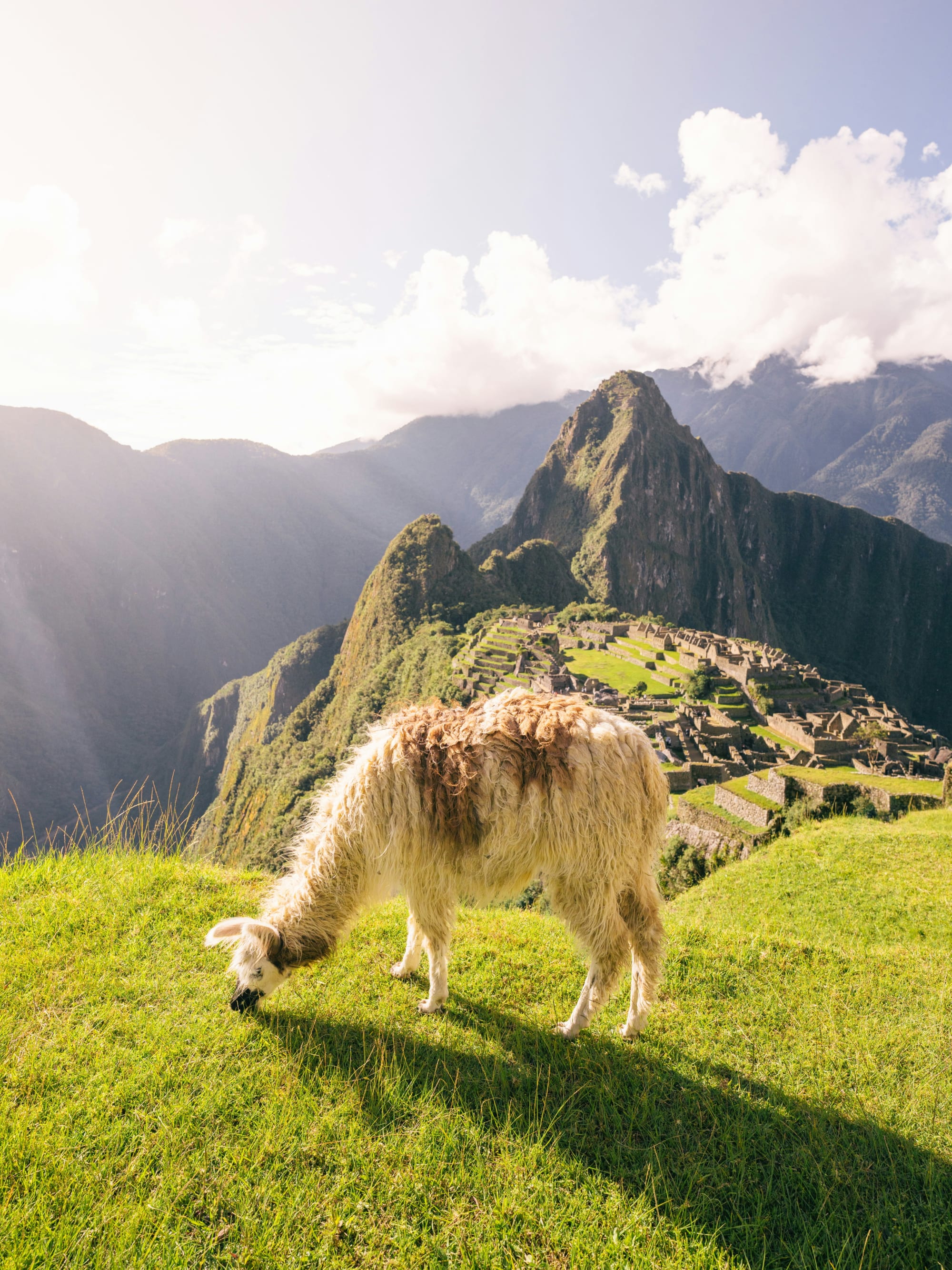 Advisor - One Week Exploring Peru