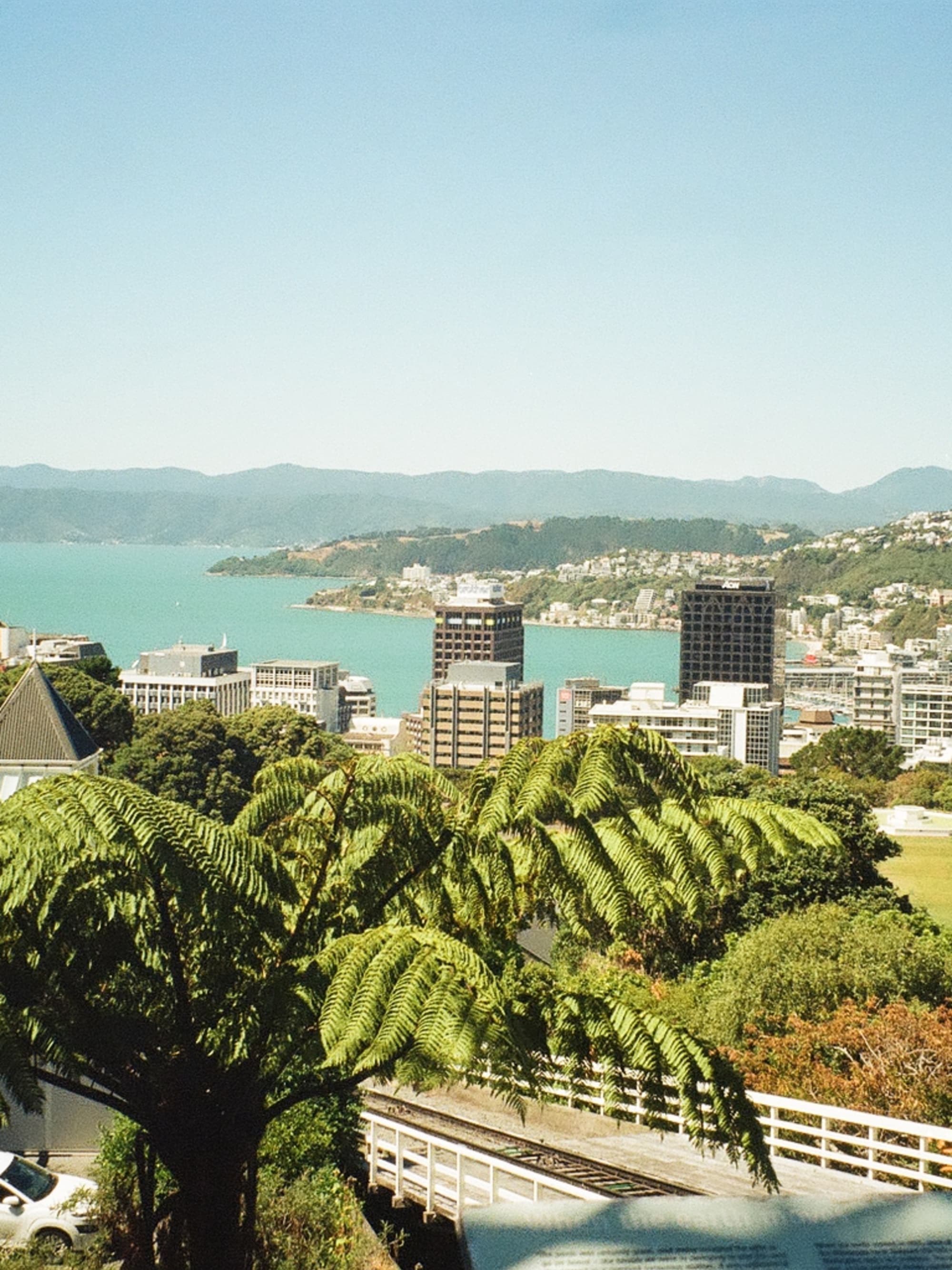Advisor - Wellington, New Zealand for the Food & Wine Lover