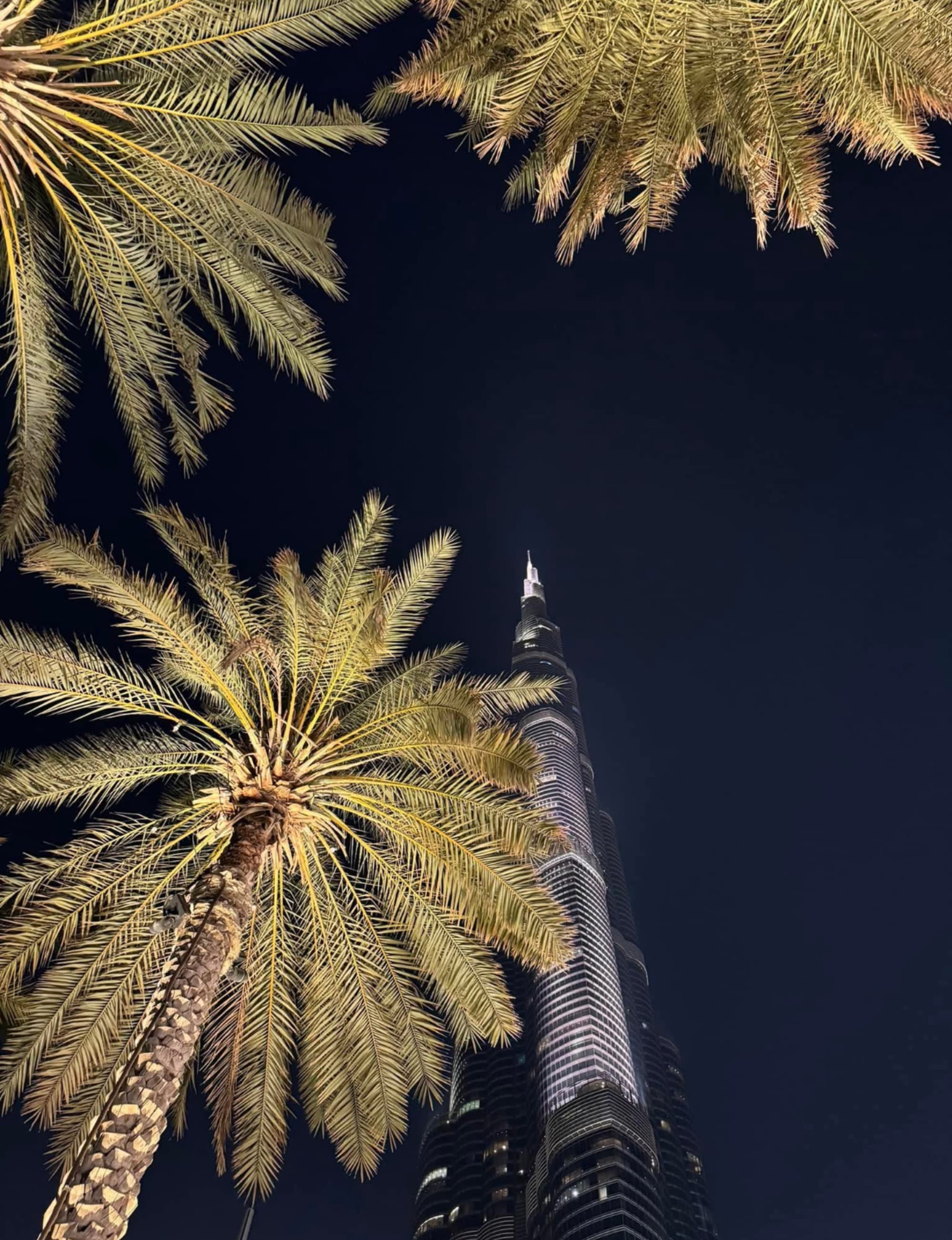 Advisor - Dubai: An Insider's Guide