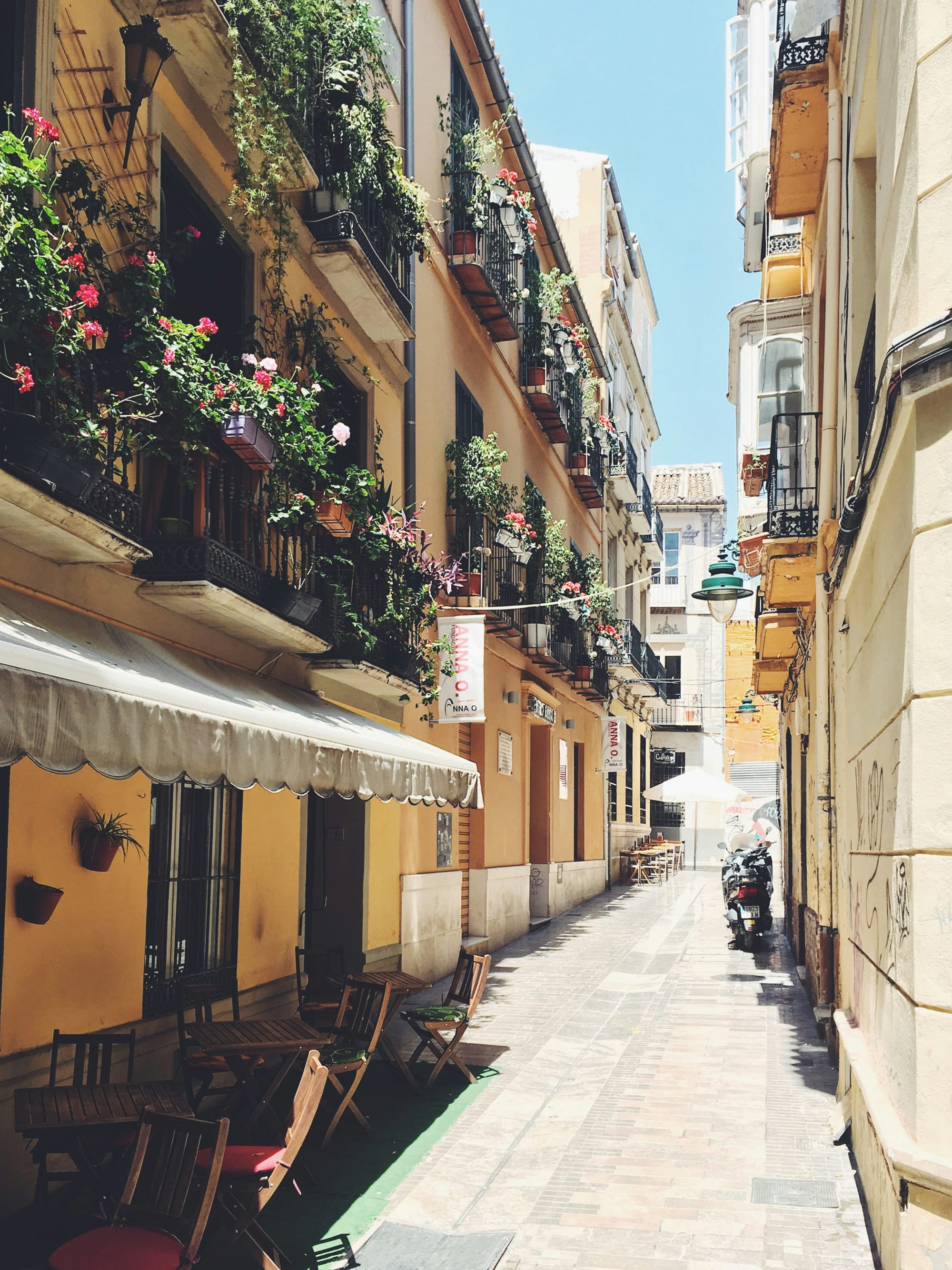 Advisor - An Unforgettable Spanish Honeymoon