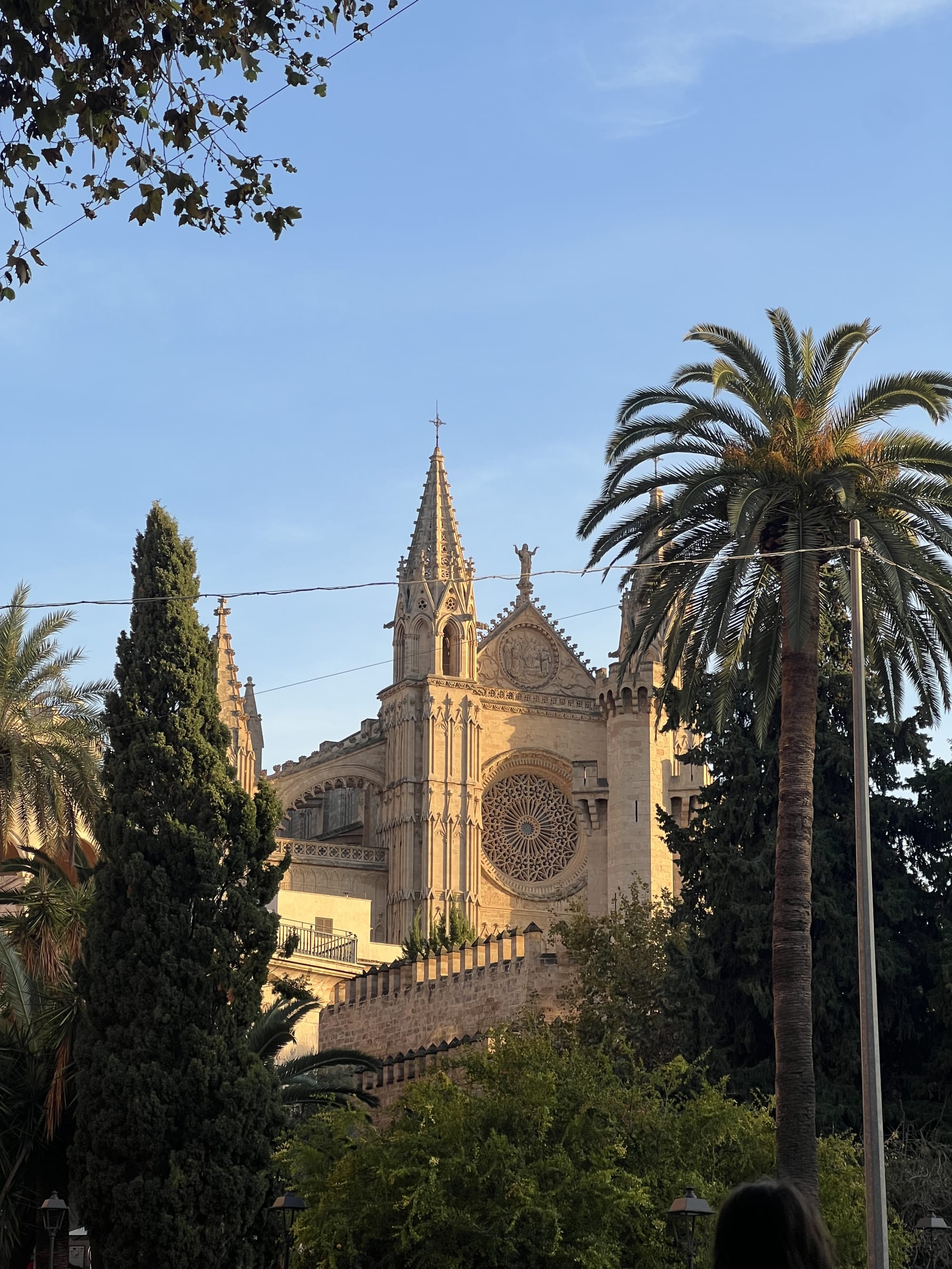 Advisor - Mallorca: Spain's Hidden Gem