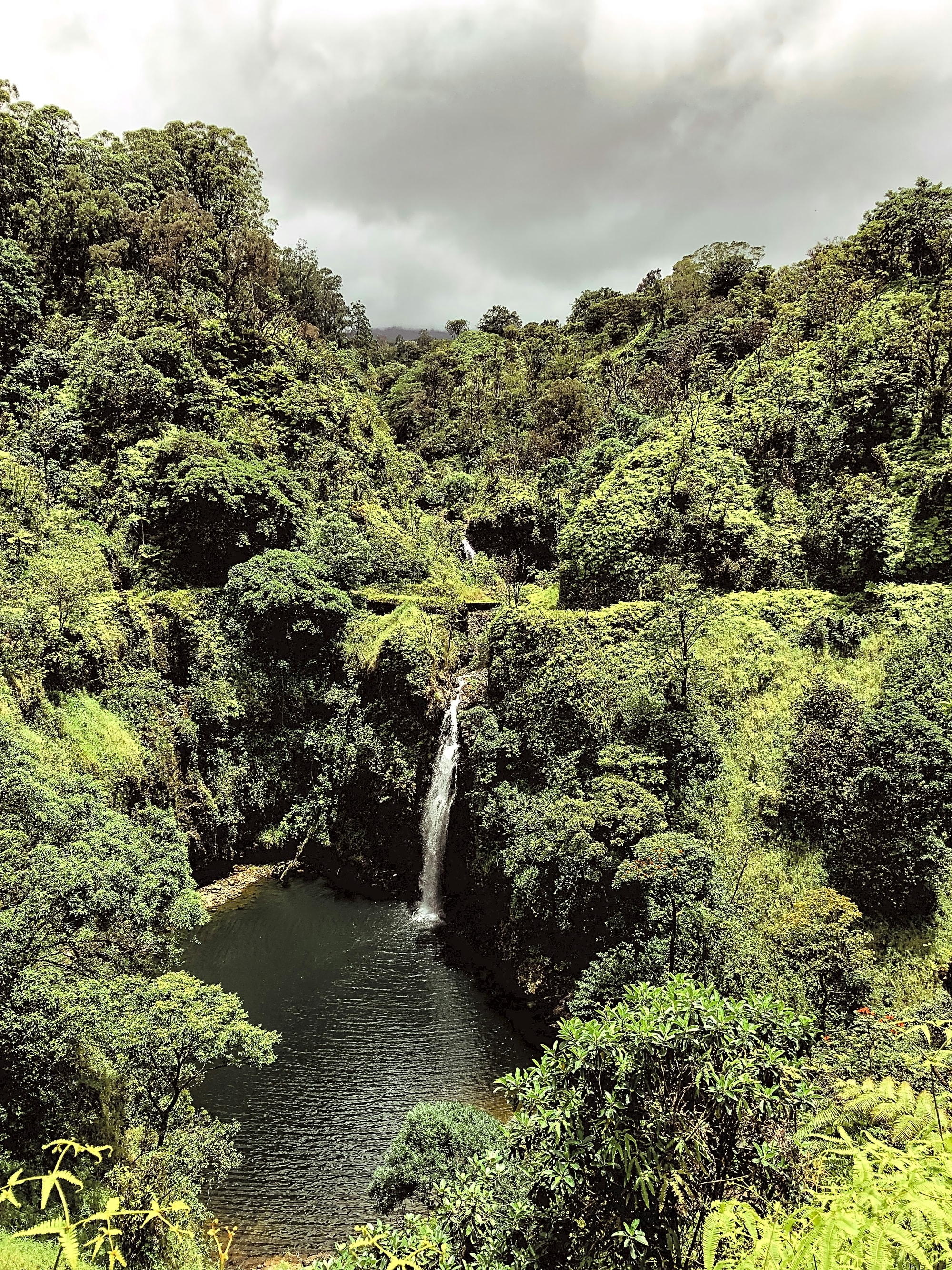 Advisor - Maui Essentials: Exploring the Island by Land, Air and Water