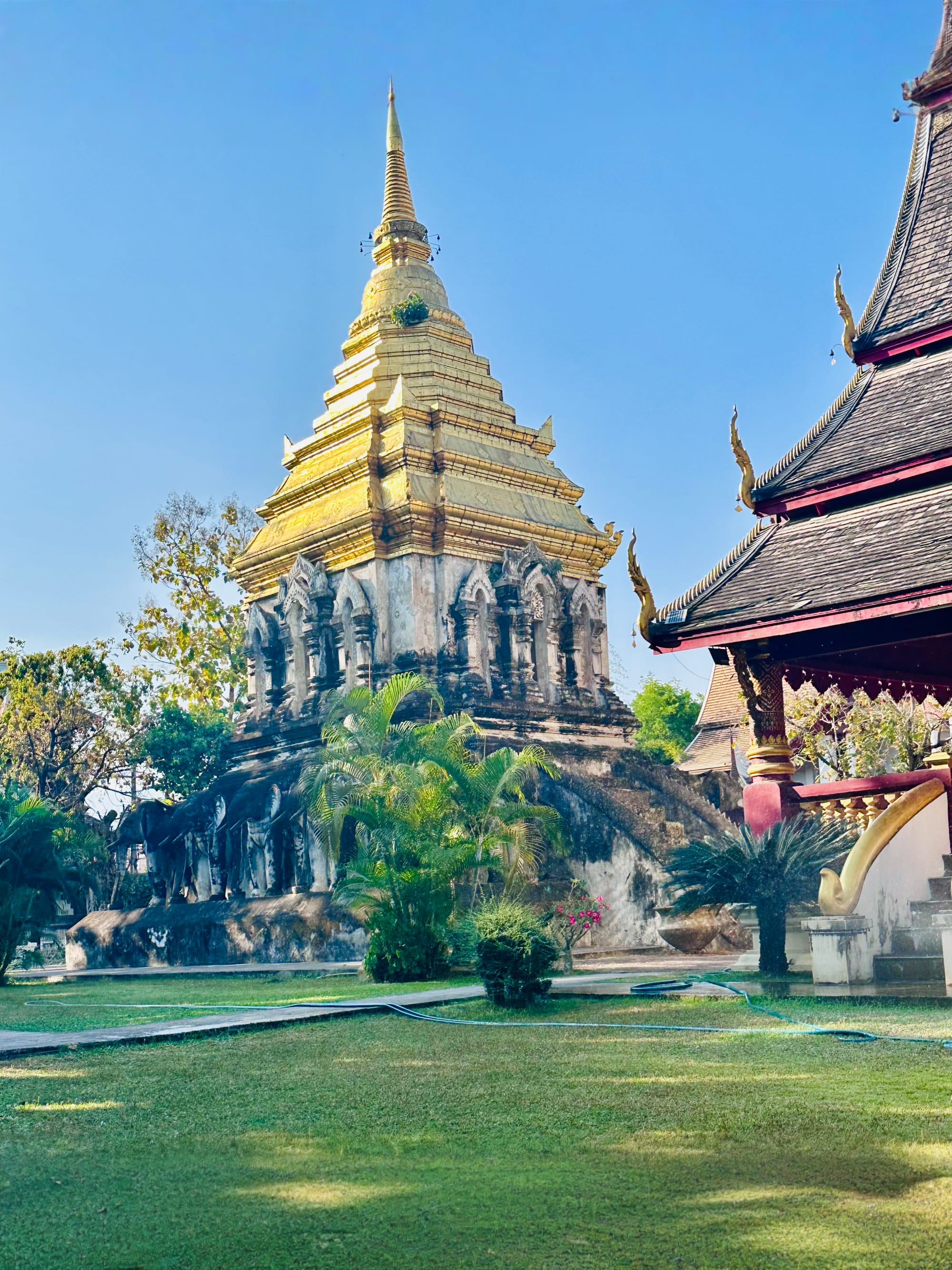 Advisor - Northern Thailand & Laos Adventure