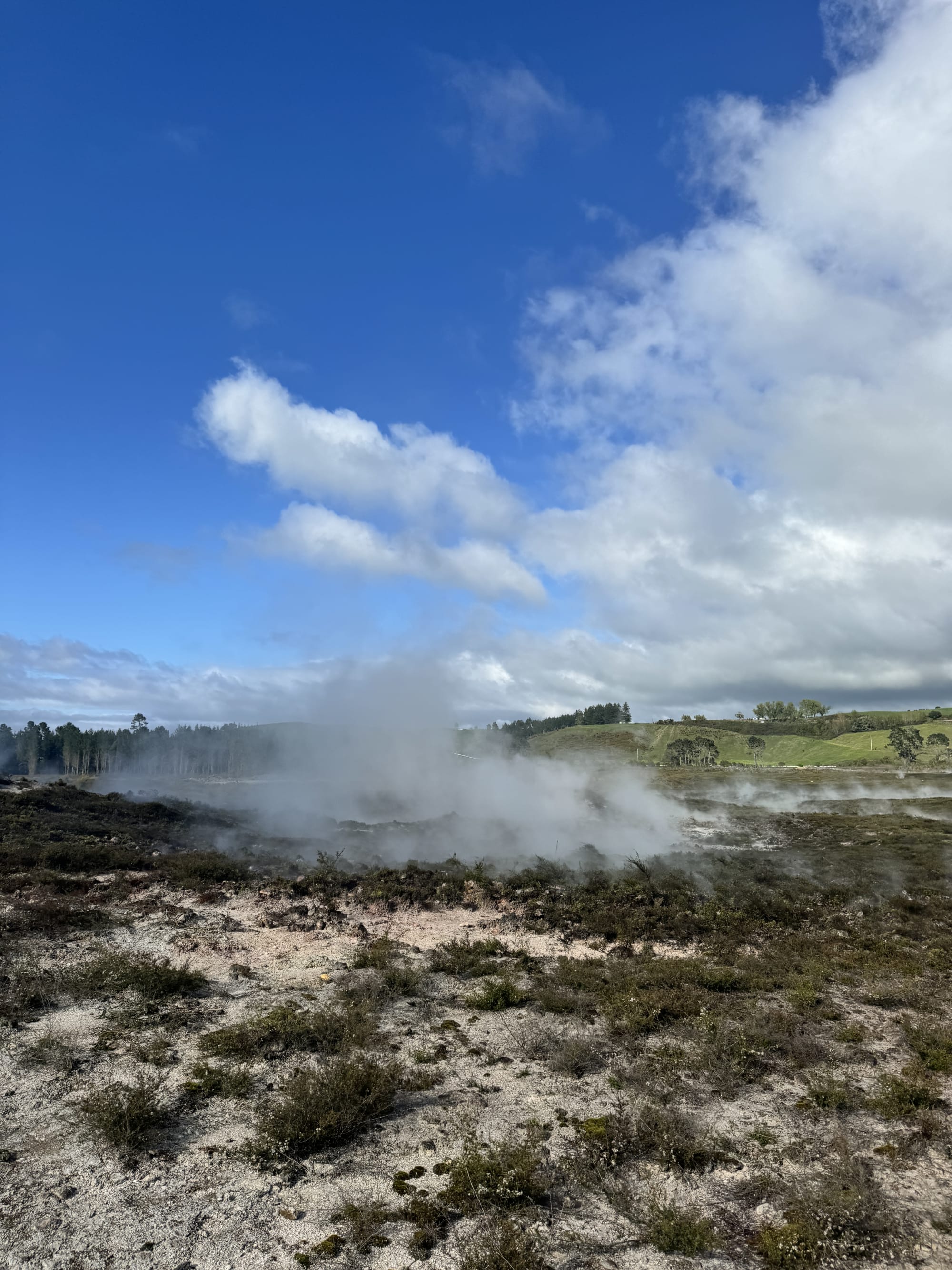 Advisor - One Week Adventure on New Zealand’s North Island: Highlights, Hikes and Hidden Gems