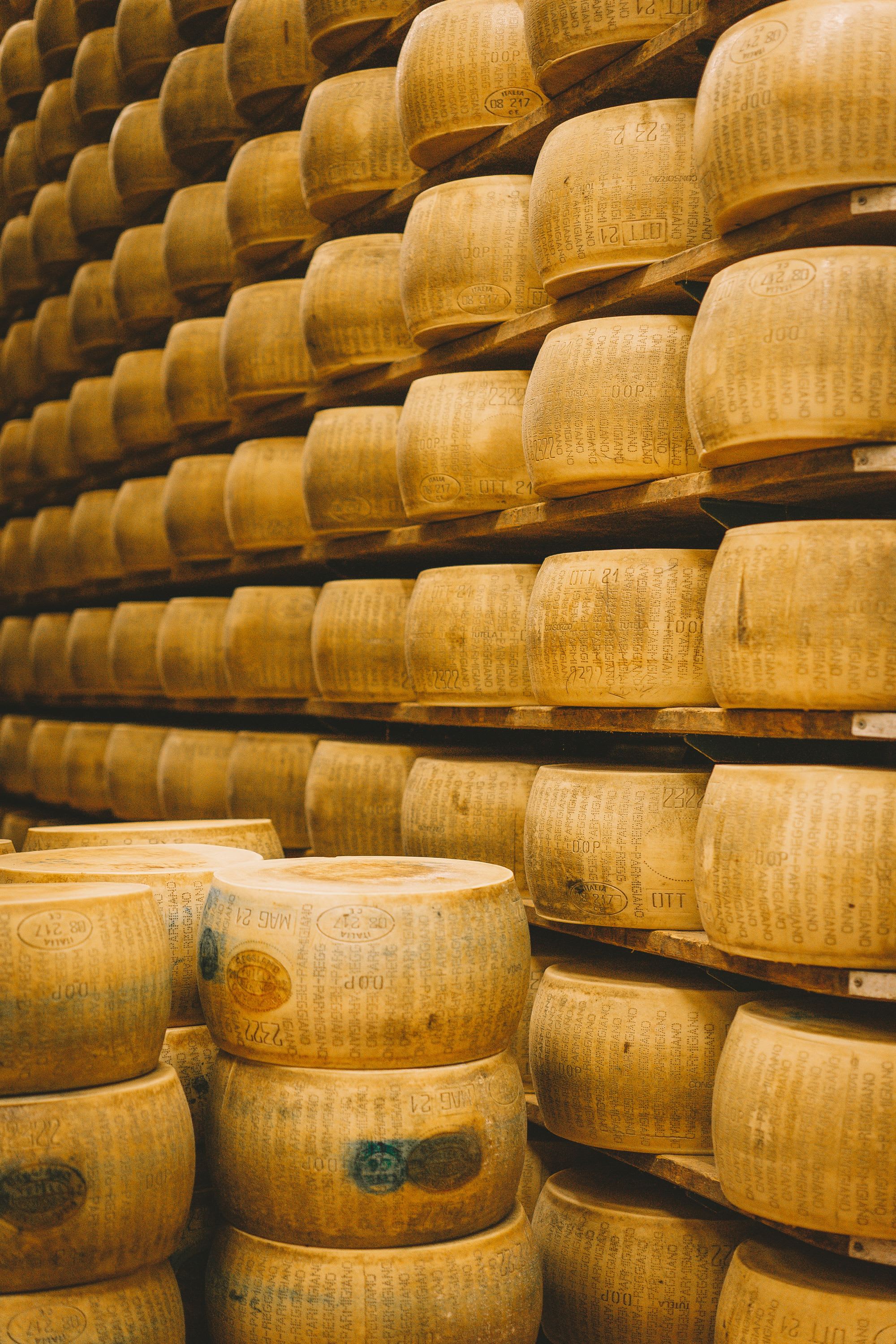 Stacks of pecorino cheese on shelves.