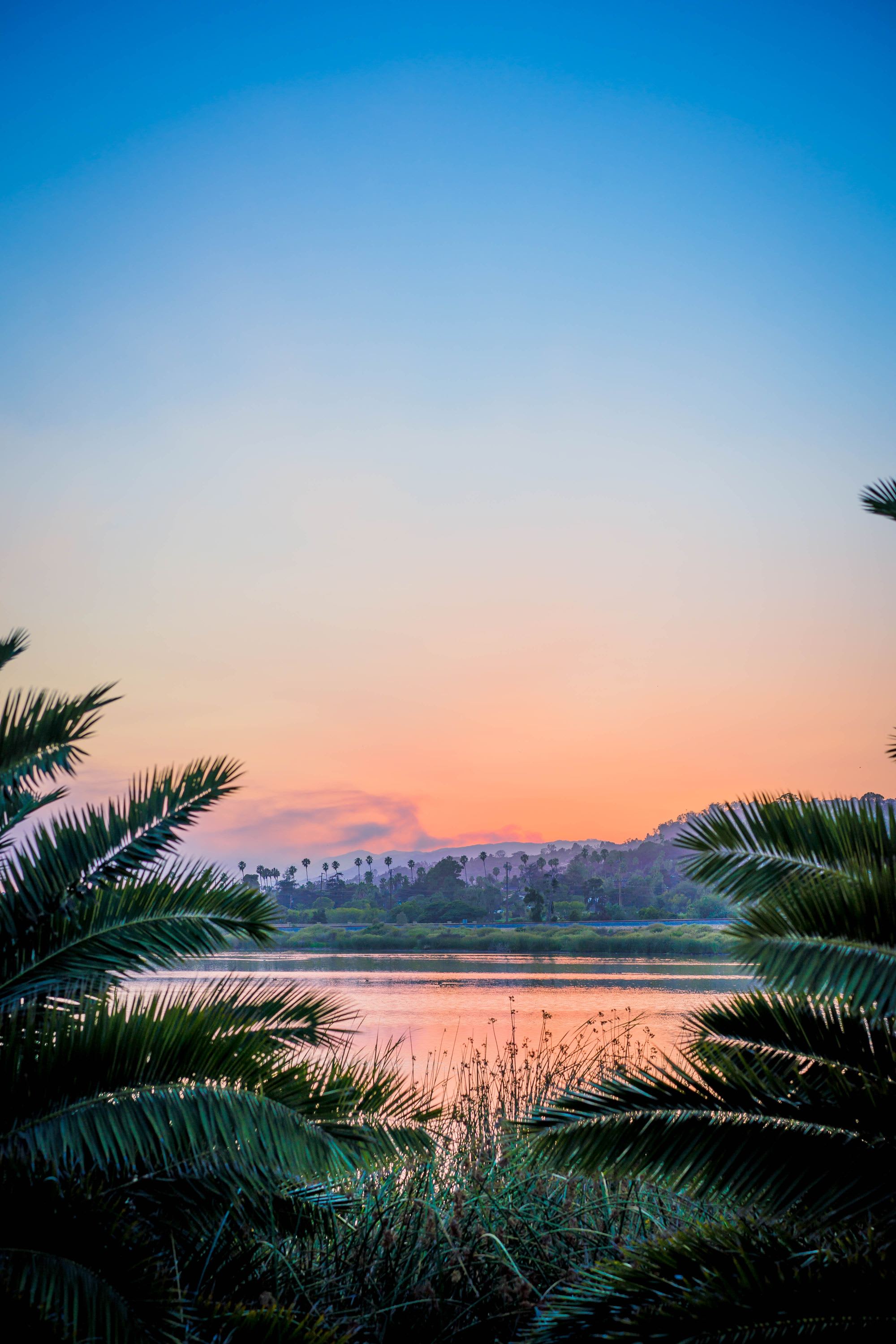 Advisor - Santa Barbara on a Budget: Where To Stay, What To Do and When To Go