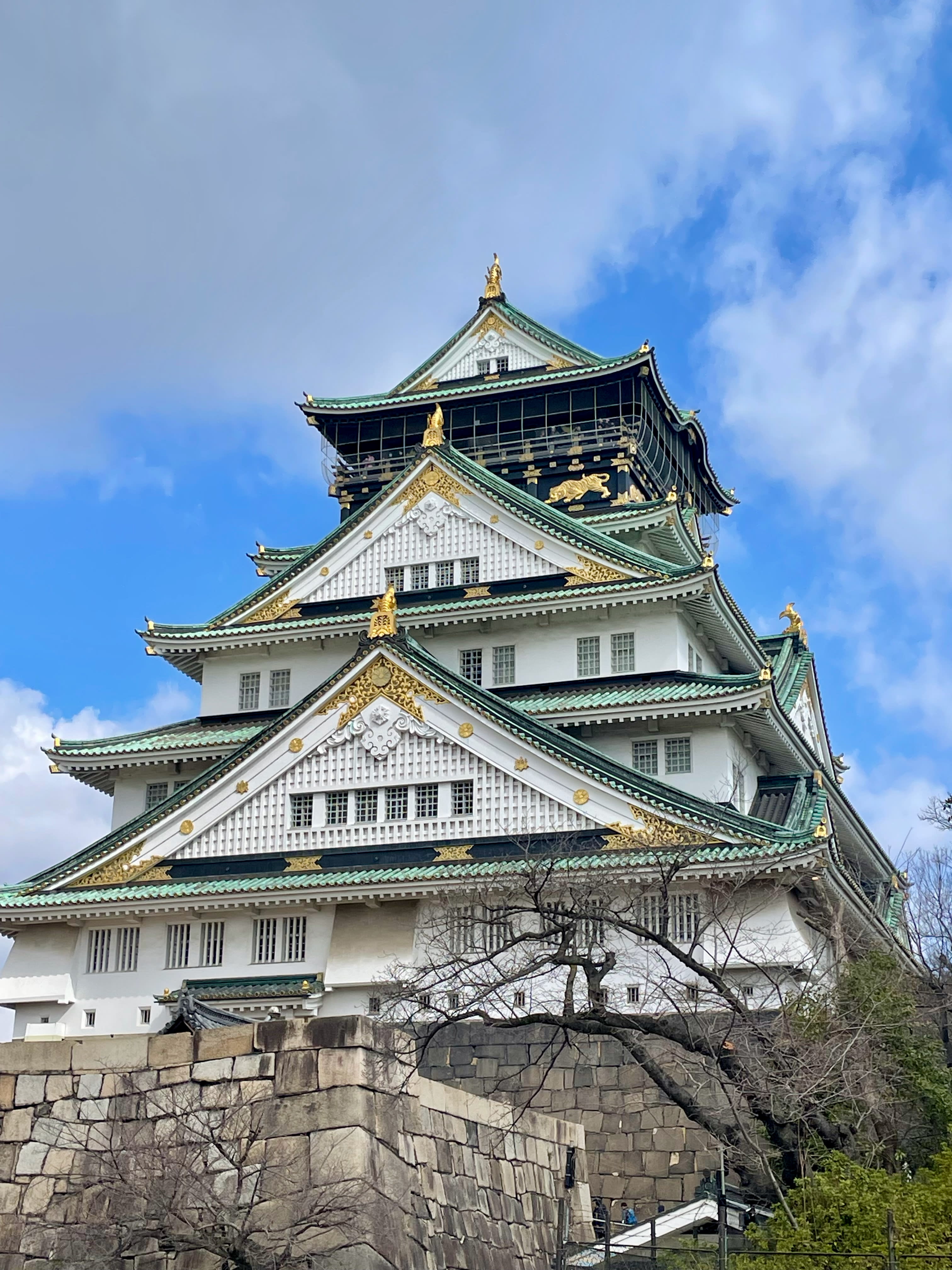Advisor - First Time in Japan: One Week in Kyoto and Osaka