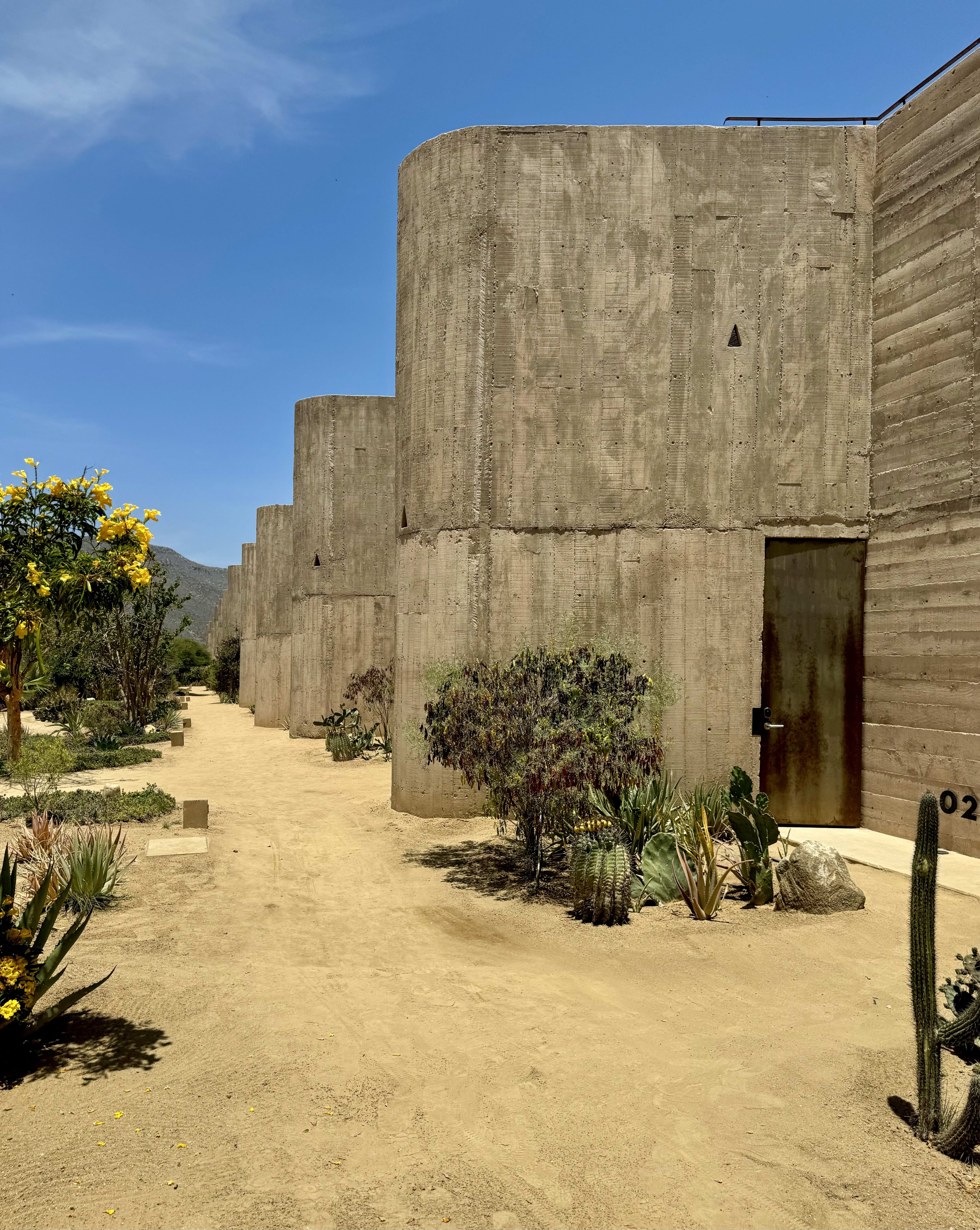 A Hidden Gem in Baja: Exploring Paradero Todos Santos
