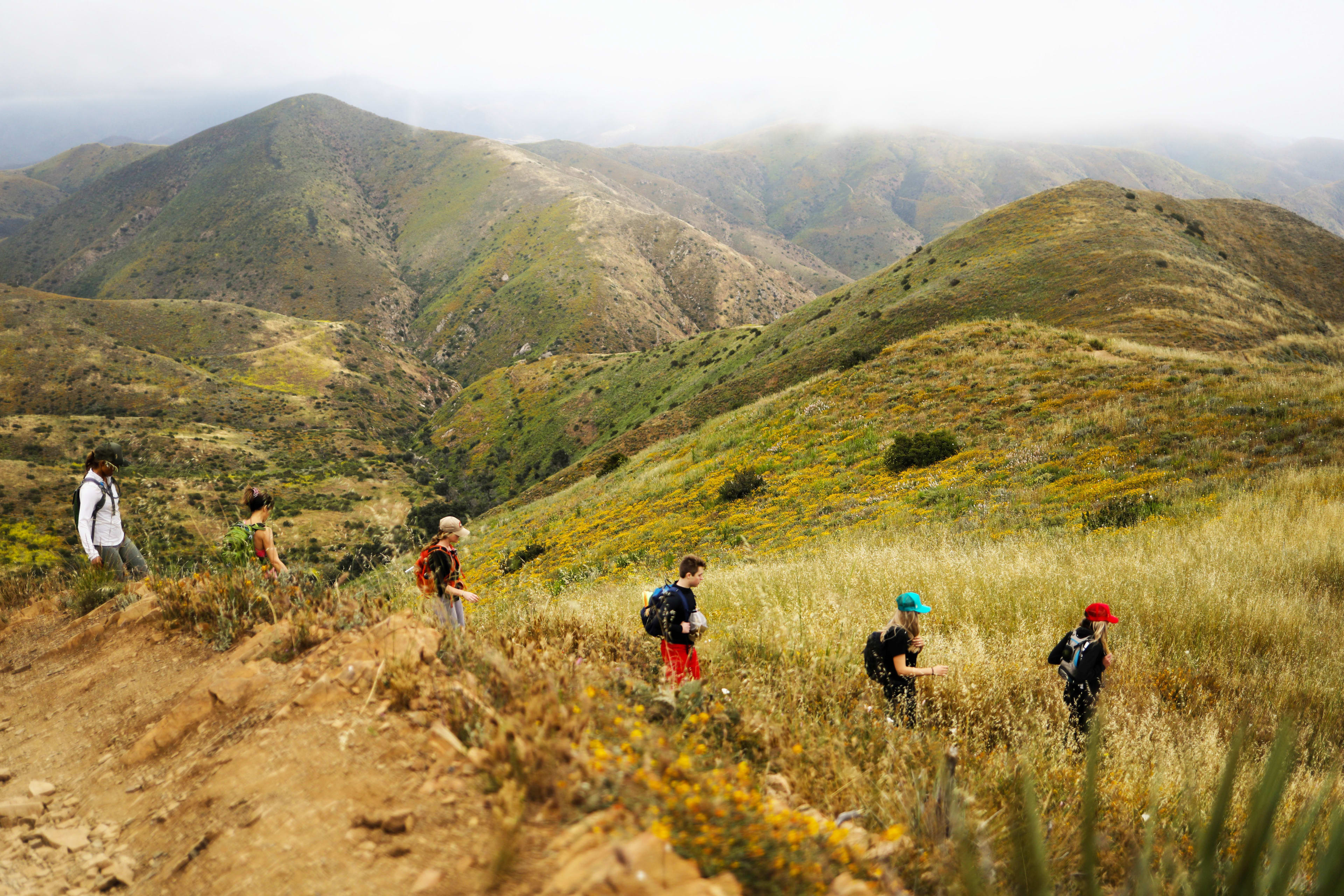 Featured image for How to Plan a Specialty Group Retreat