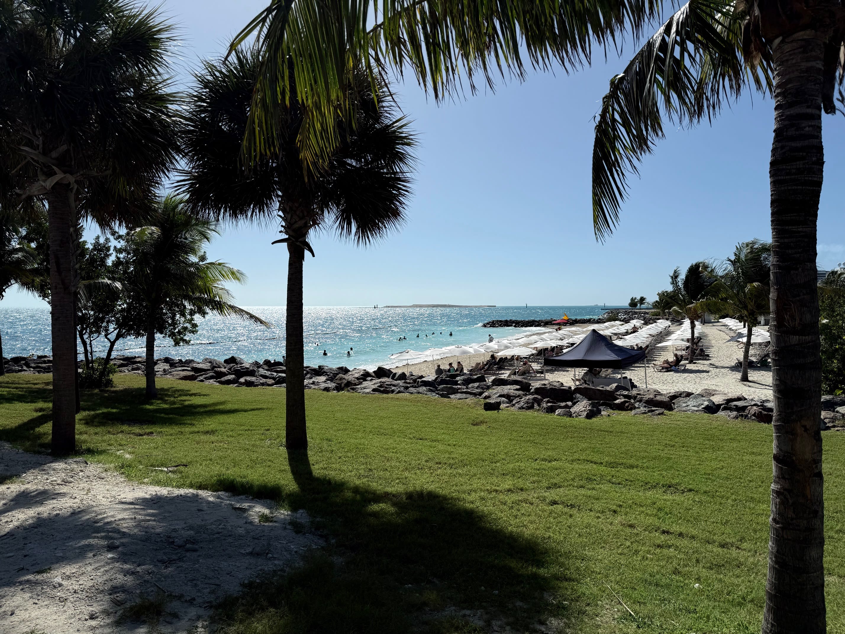 An Elevated Cruise Experience: MSC's Yacht Club